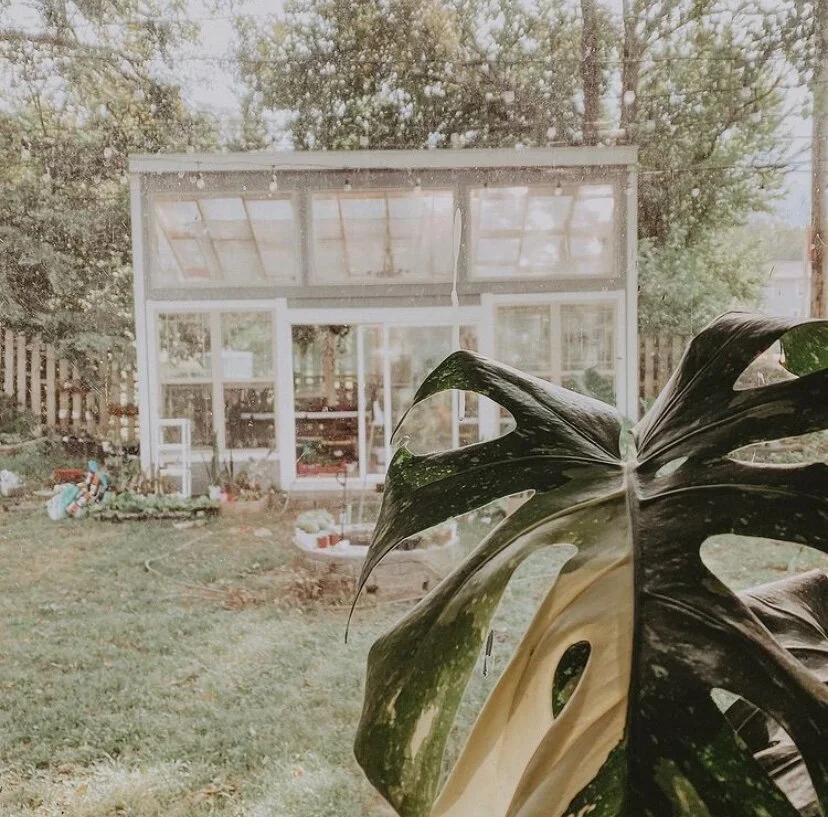 Profile: KC Tiny Greenhouse