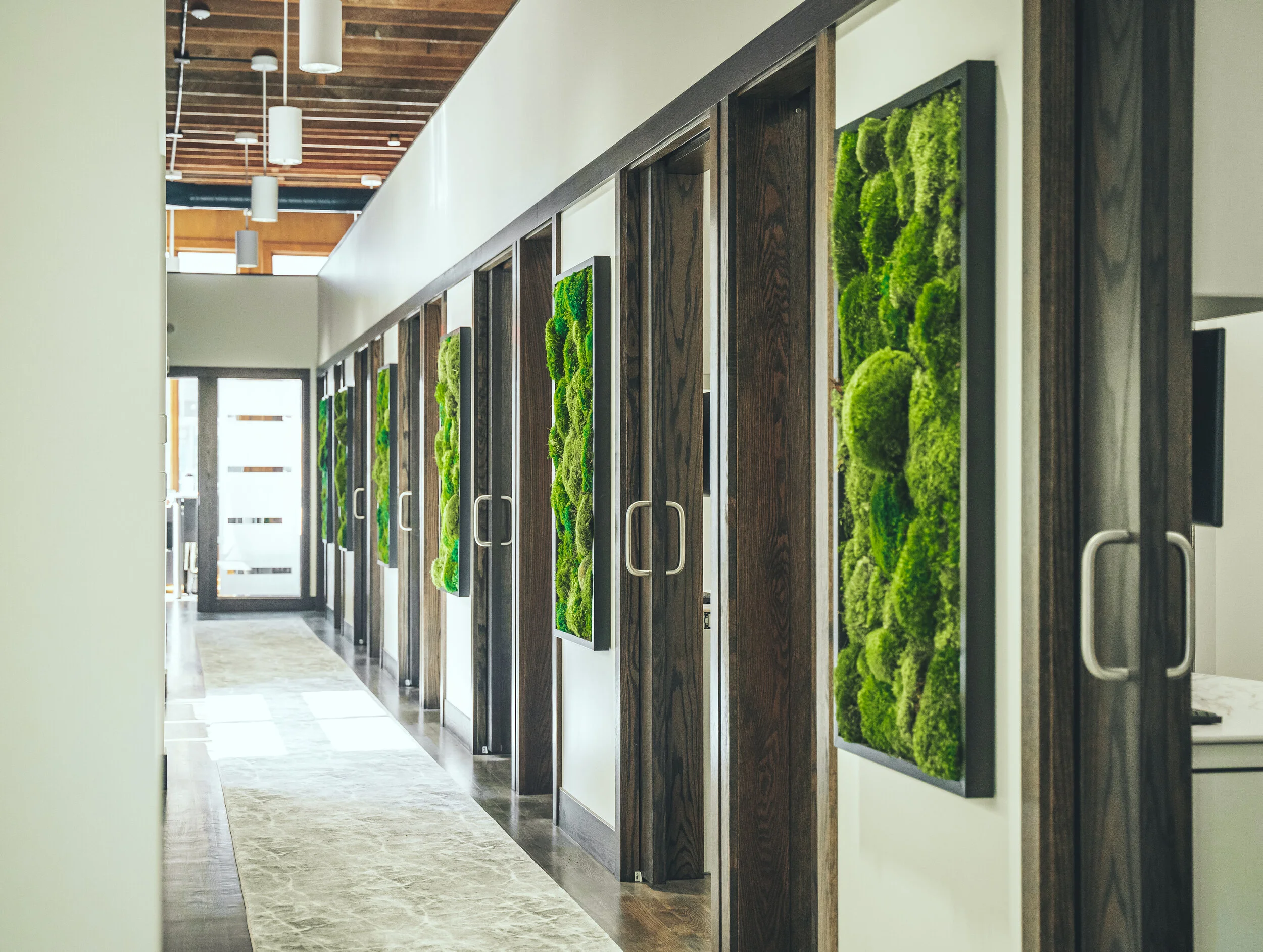 Profile: Fat Plant Society