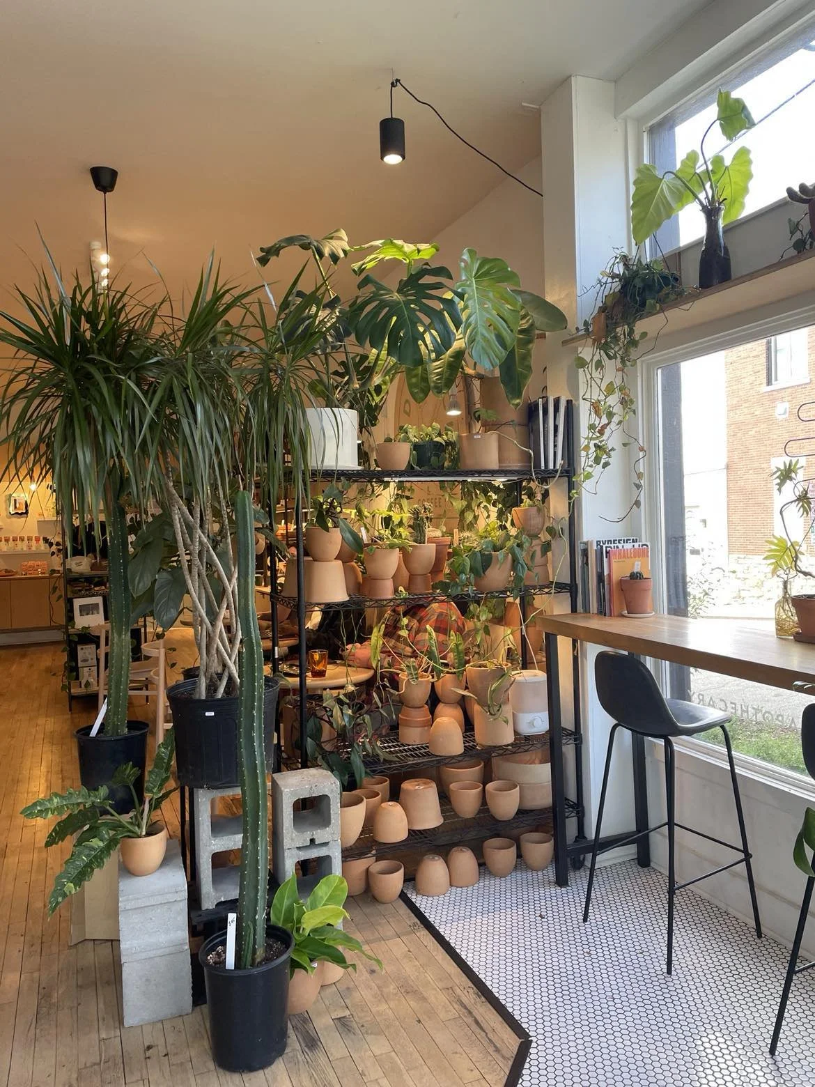 Drinking Coffee in Kansas City: Garden House Cafe