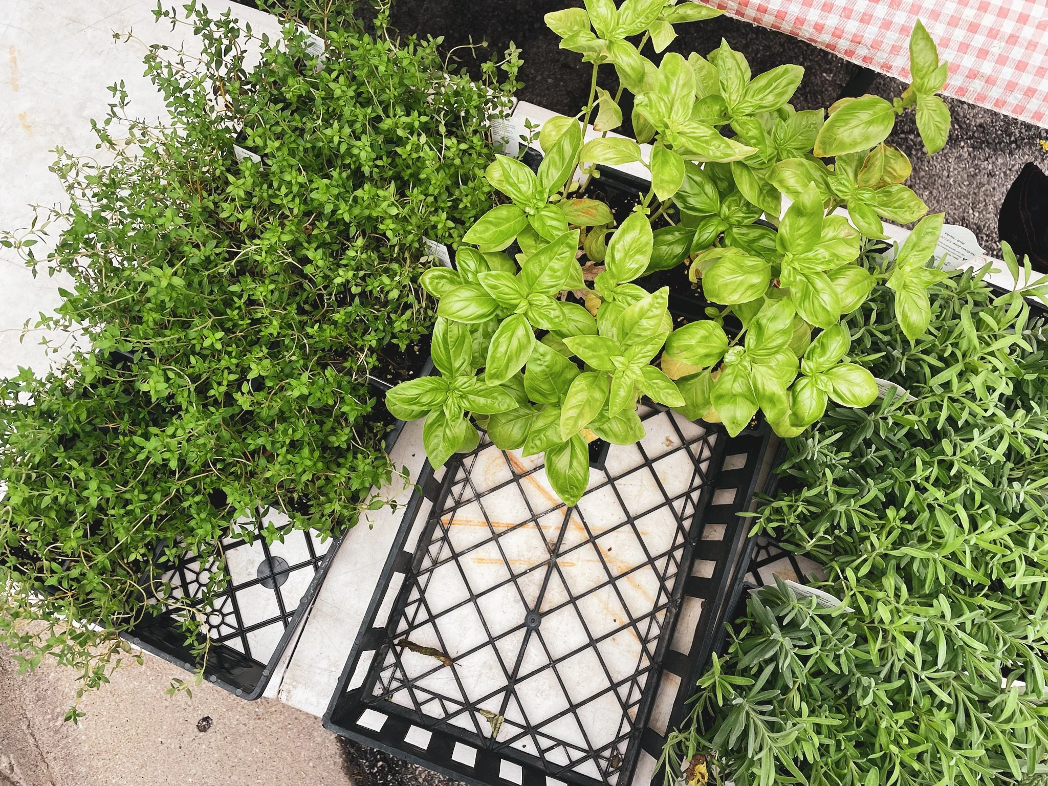 Overland Park Farmer's Market Guide