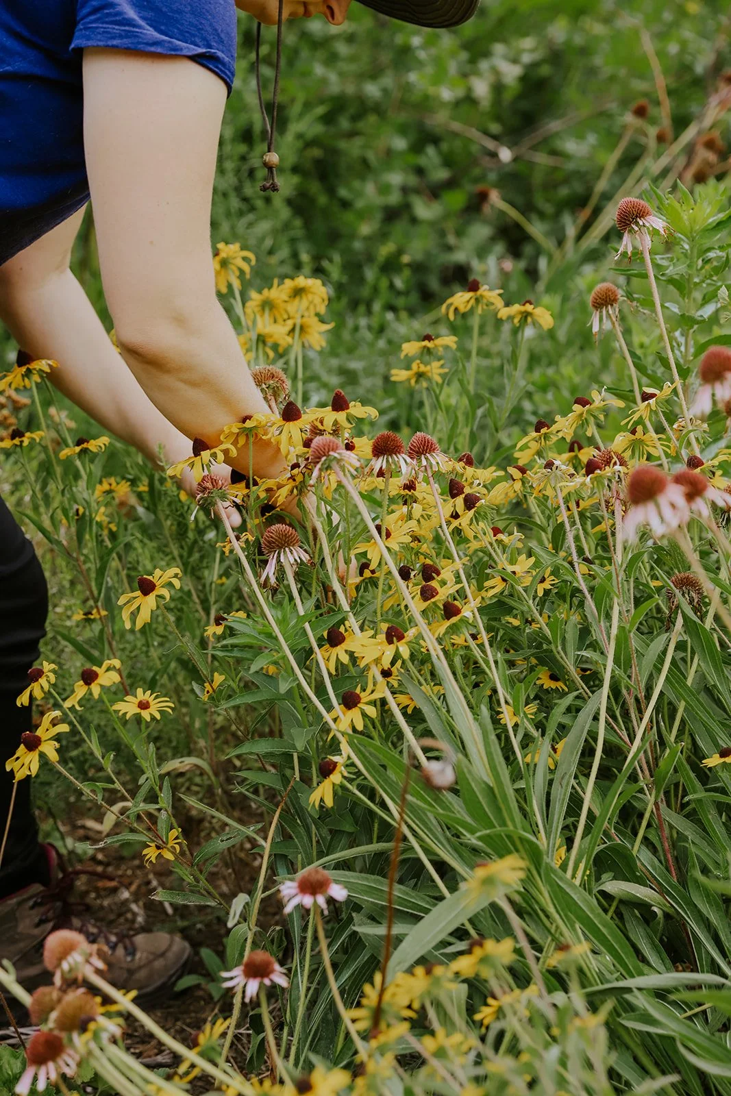 Profile: City Roots Nursery — MIKCexplore