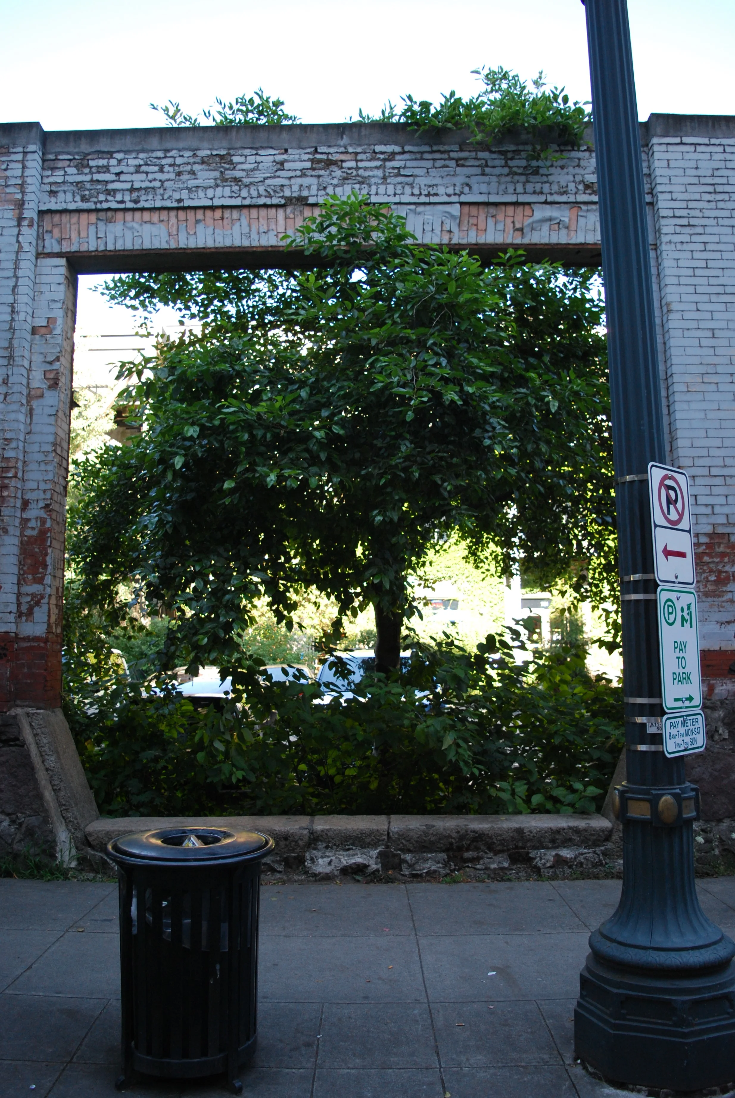 An Intro to Transplant Shock Theory