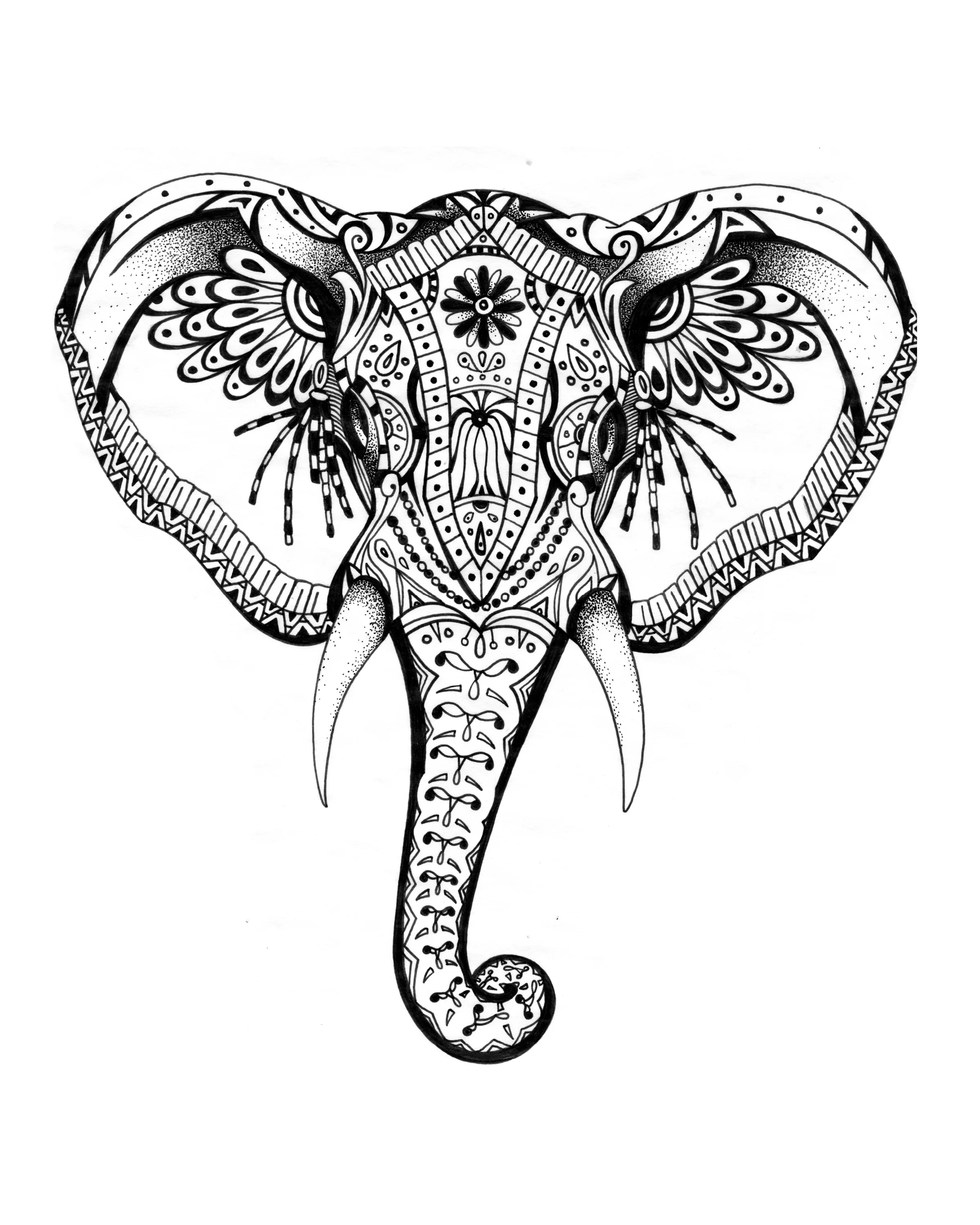 Elephante.jpg