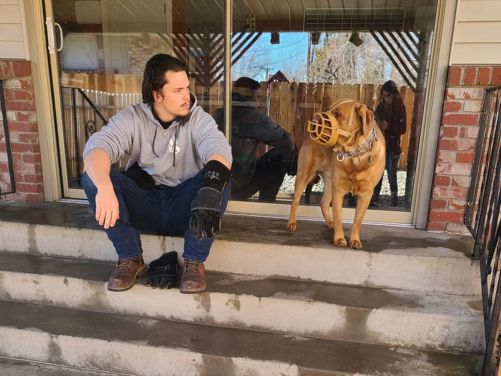 Severe Behavior Modification — Stand Proud Dog Training Reno, NV