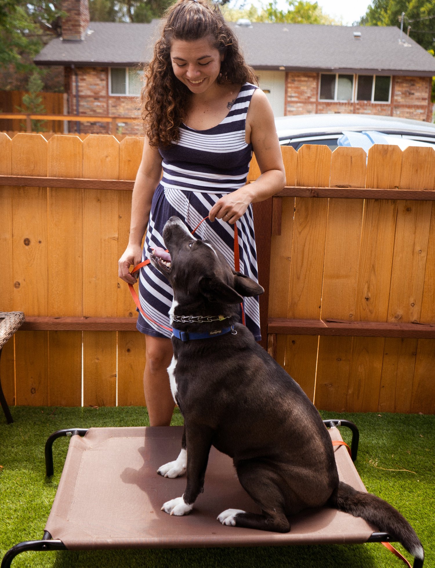 Services for Standing Clients — Stand Proud Dog Training Reno, NV