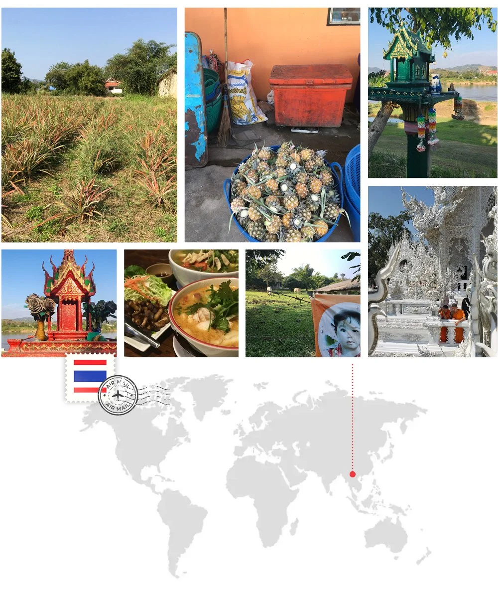 photo_collage_chiangrai.jpg