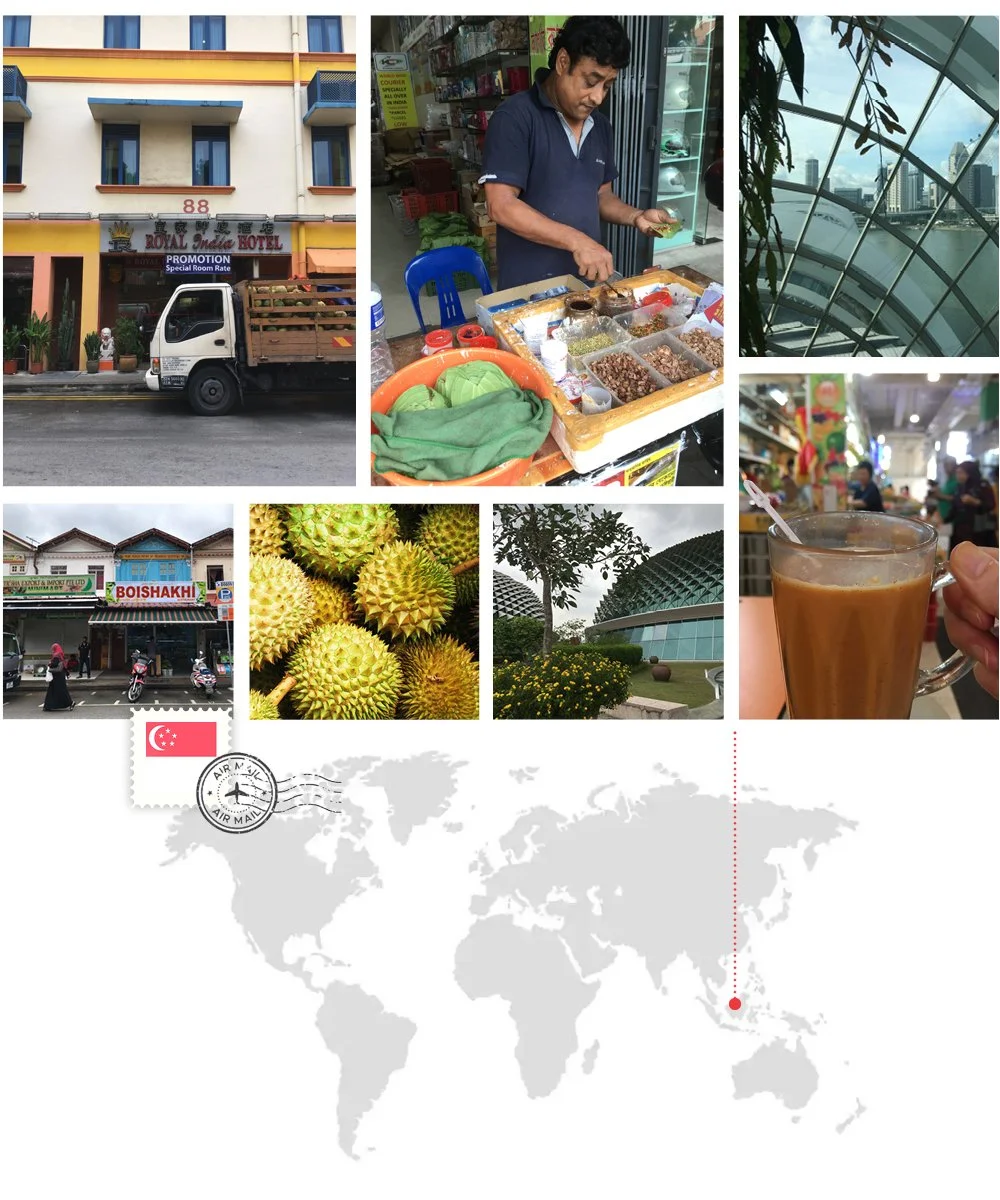 photo_collage_singapore.jpg