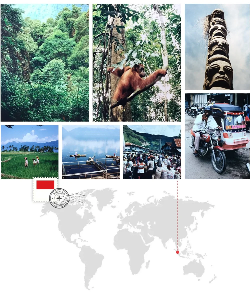 photo_collage_sumatra.jpg