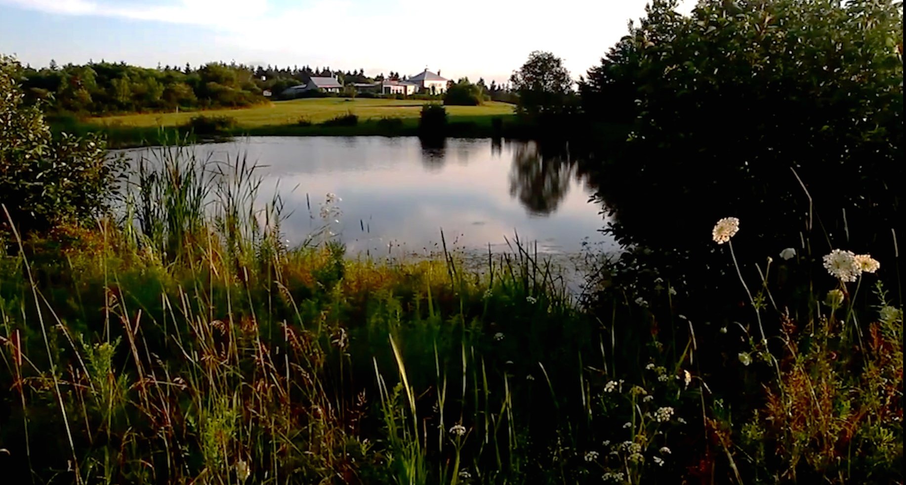 Ethan Hawke, "This is Where We Start" From A Family Place by Charles Gaines