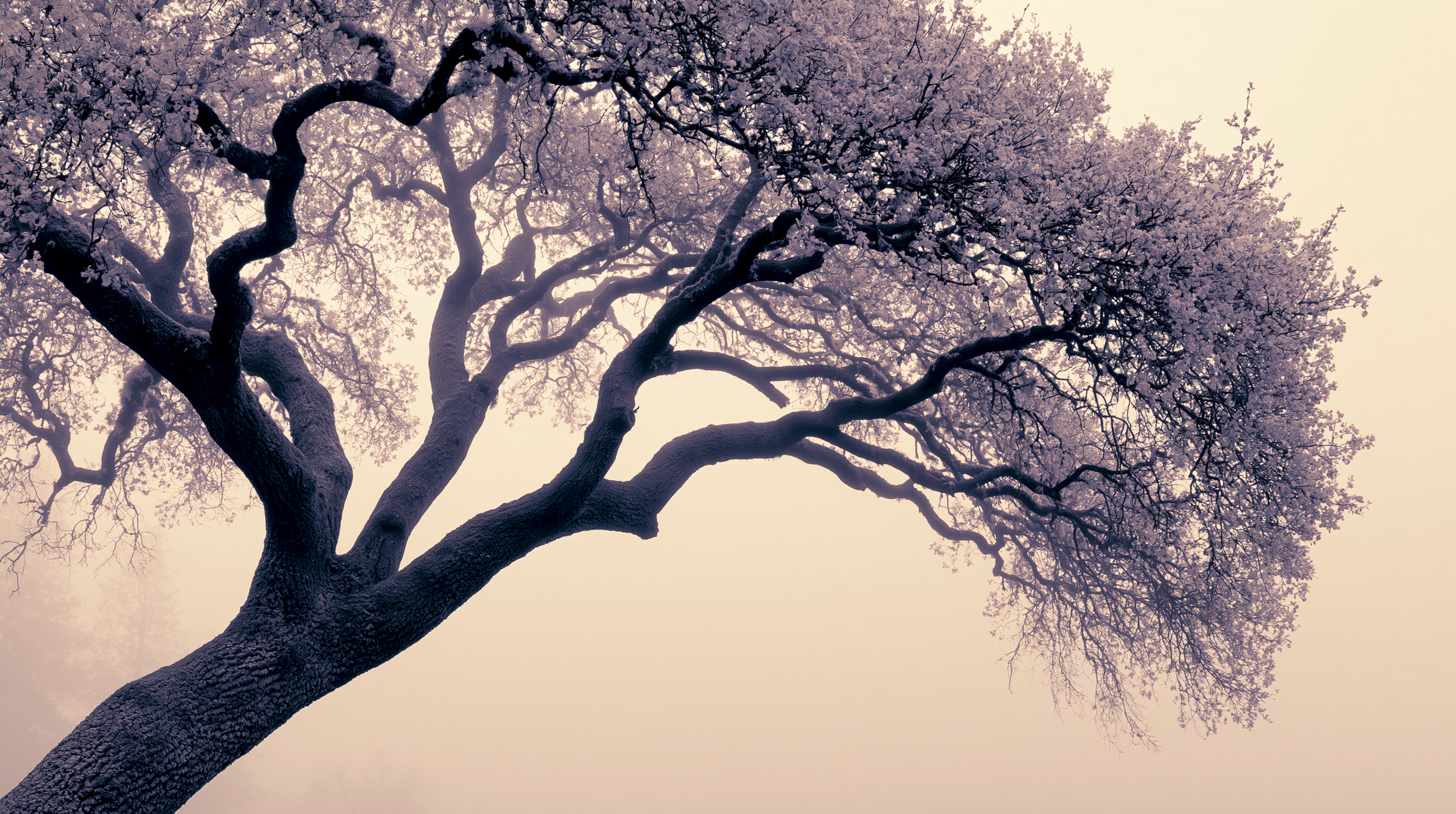 Planetary Orbits and Seasons: The Rhythms That Shape Life