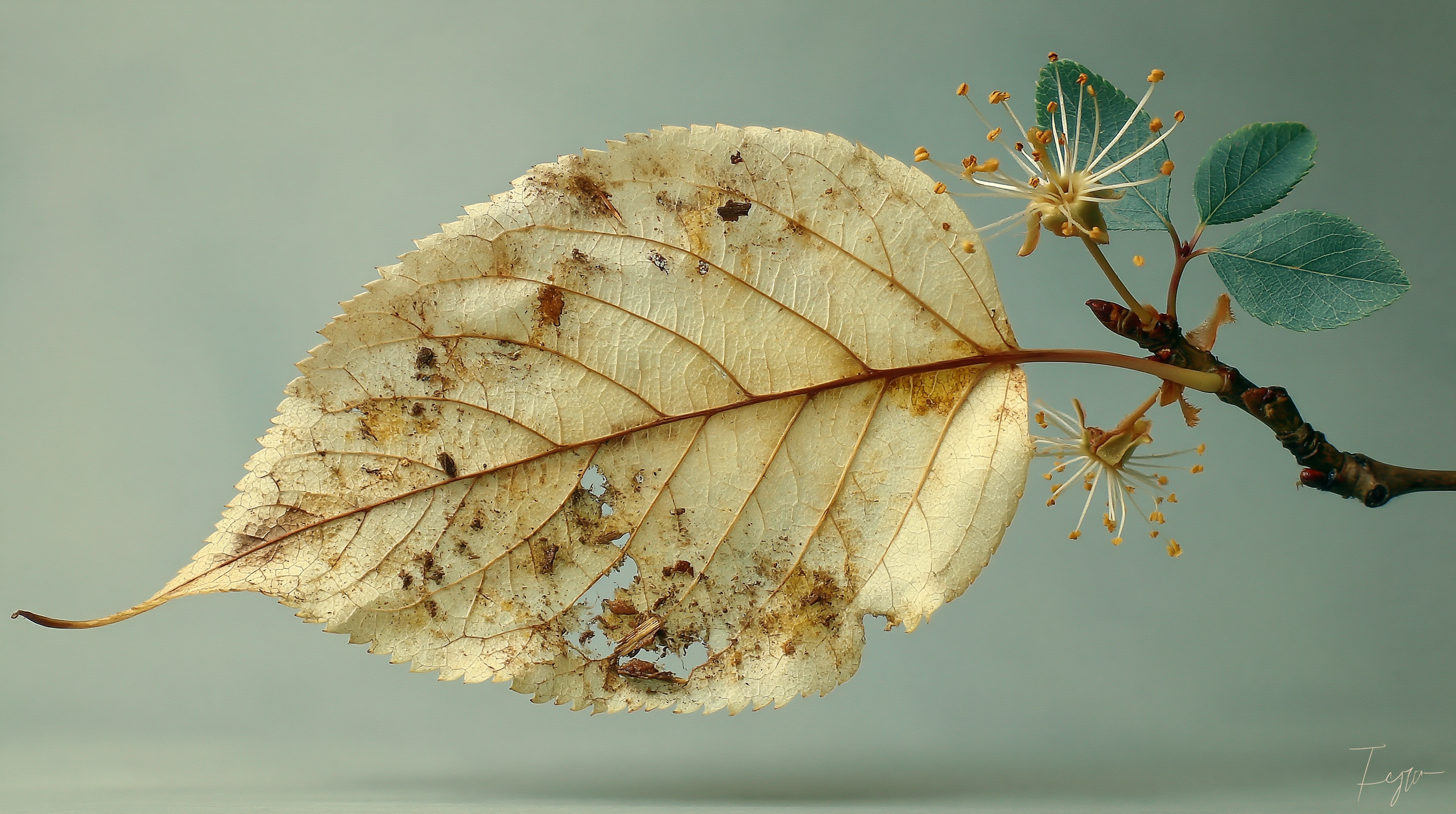Nature’s Cycles: Restoring Balance by Working With Life’s Rhythms