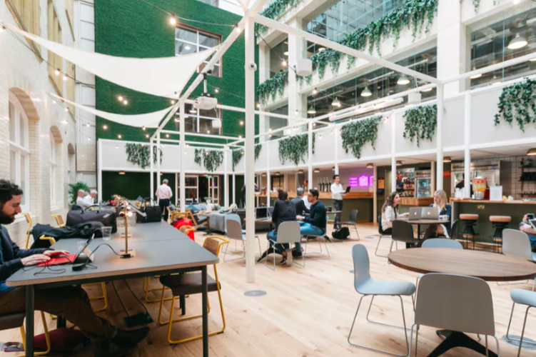 Posy & Pot Pop-UP at WeWork Waterhouse Square