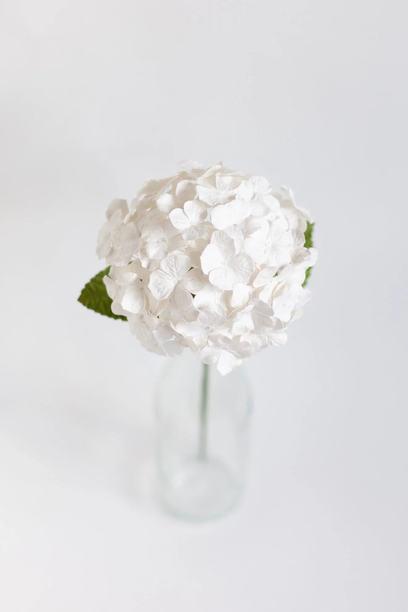 Paper Flower White Hydrangea