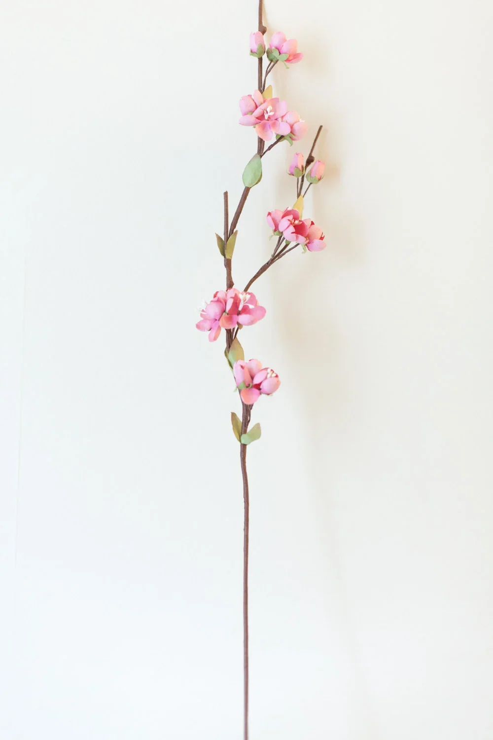 Paper Flower Pink Cherry Blossom