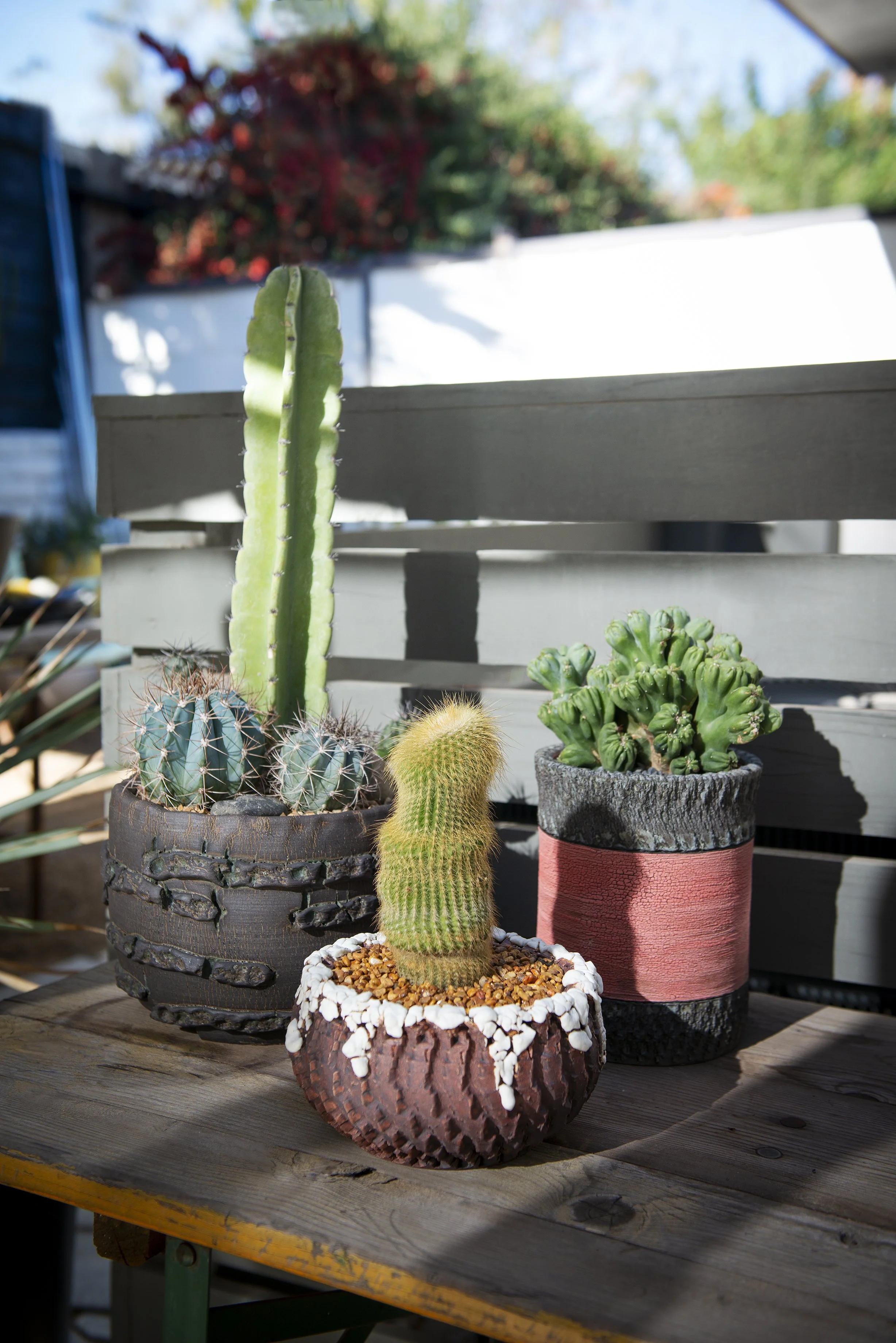 DCP_Cactus Stud_Planters_1.jpg