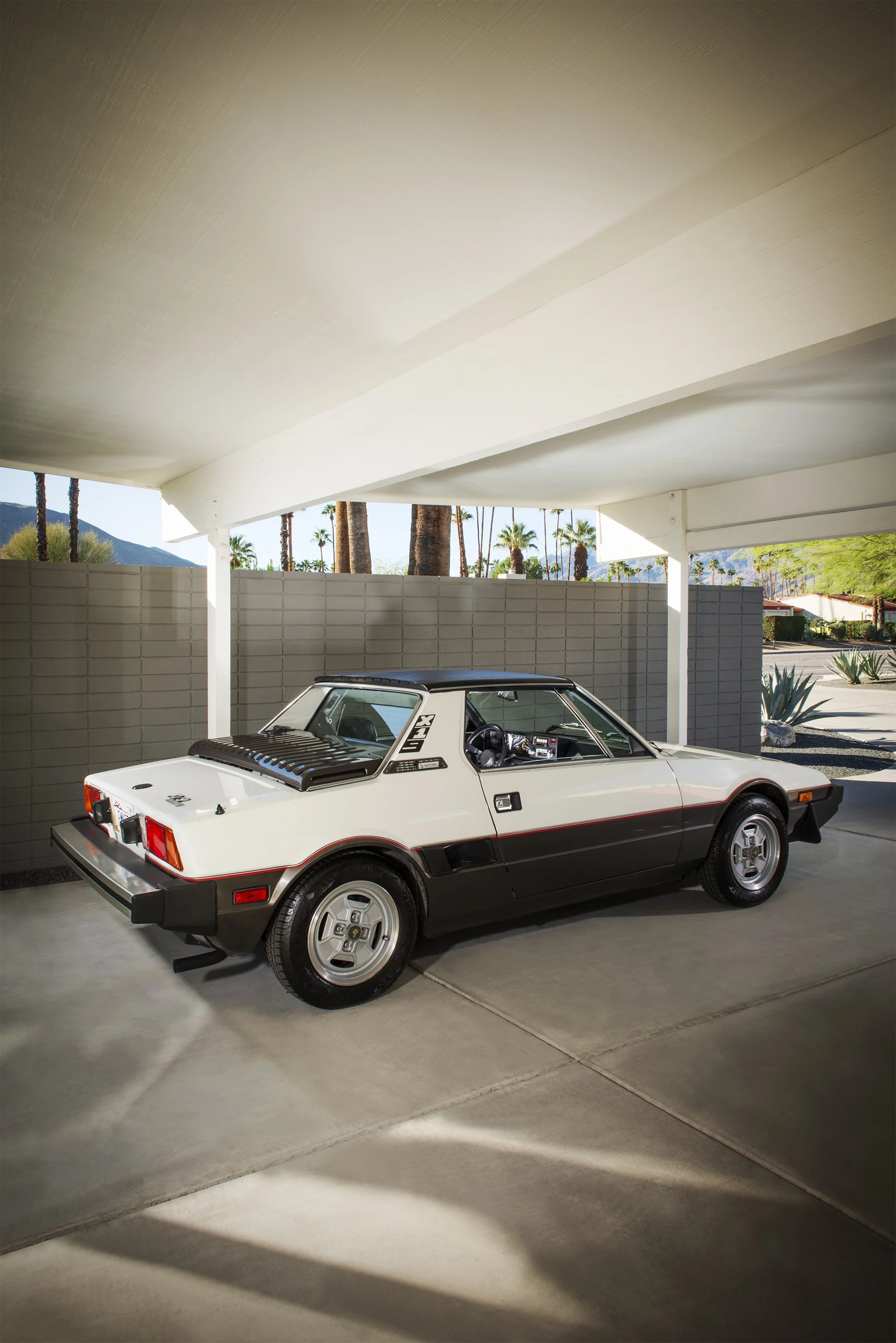 DCP_Bertone X19_Tom Elch_3.jpg