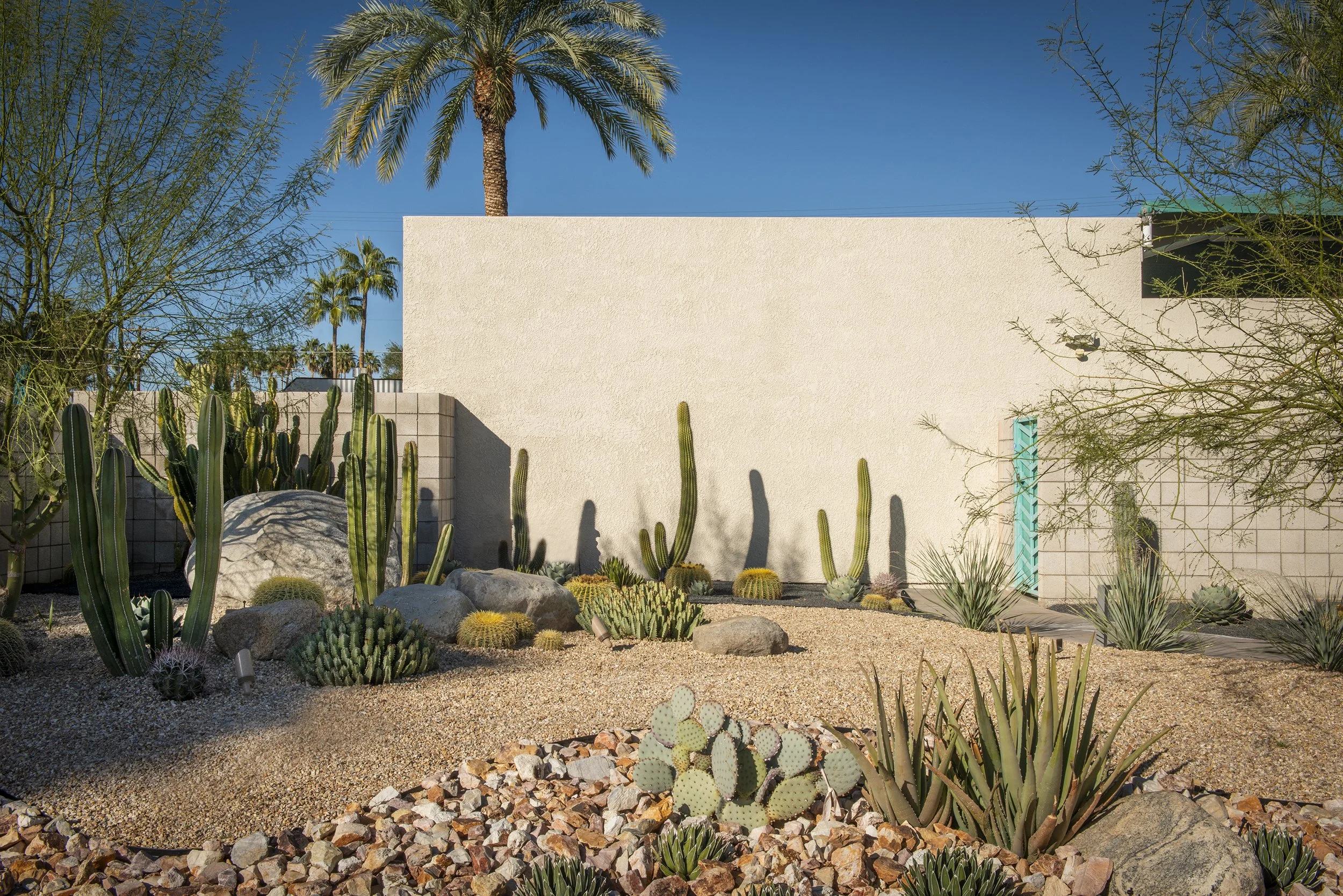 DCP_880 Sunny Dunes_Landscaping_5.jpg