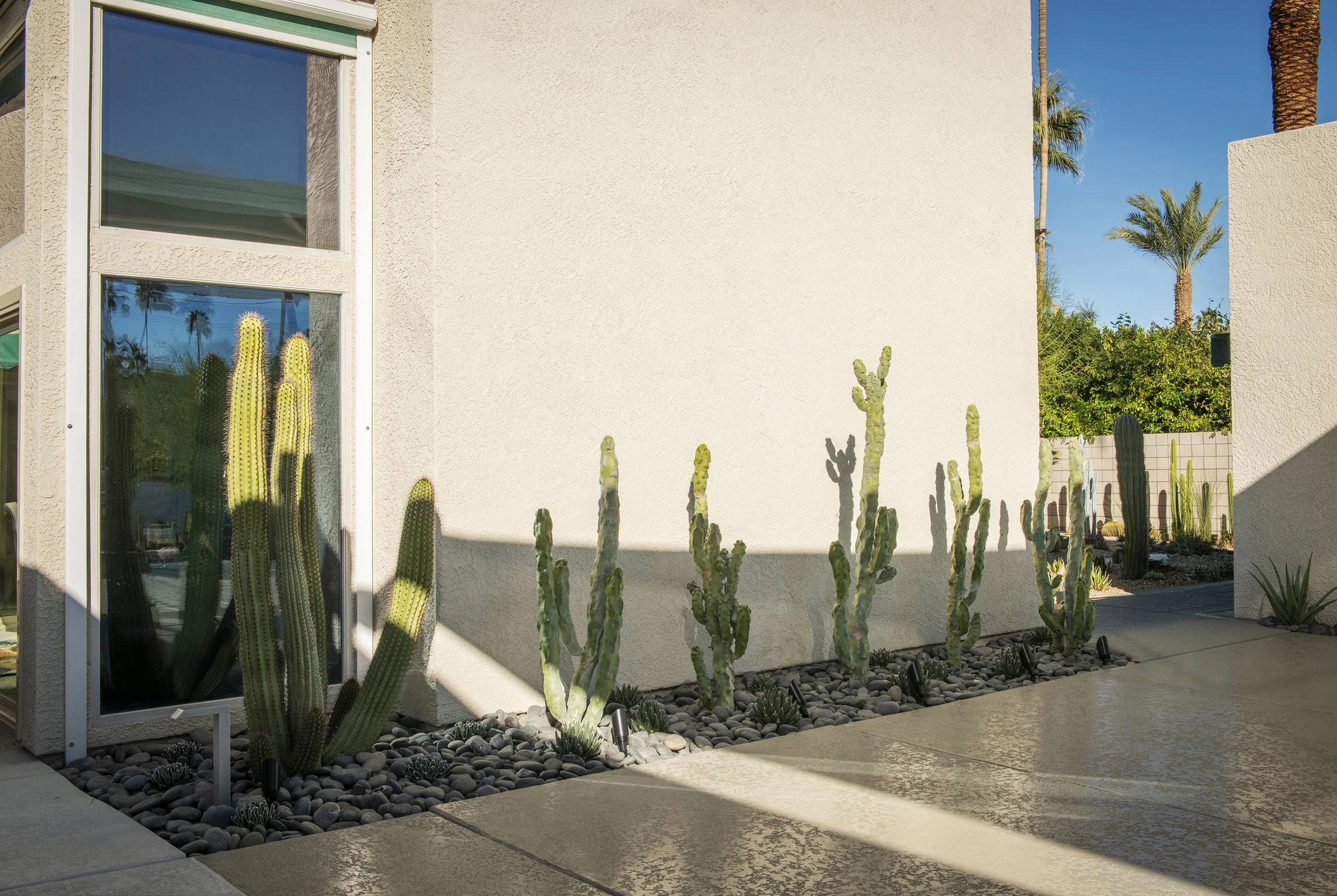 DCP_880 Sunny Dunes_Landscaping_3.jpg