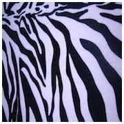 Zebra Stripe Poly