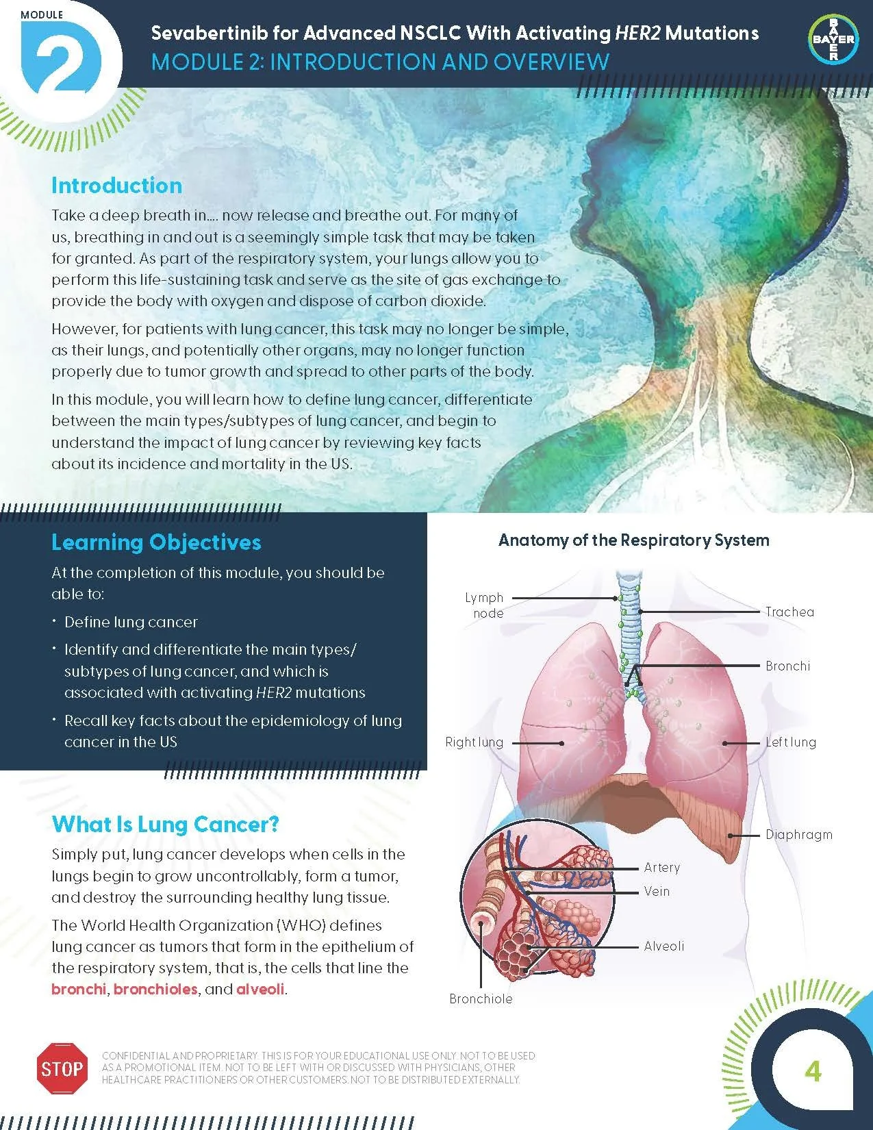 BAY_NSCLC_M2_Intro_Overview_v1.0_Page_04.jpg