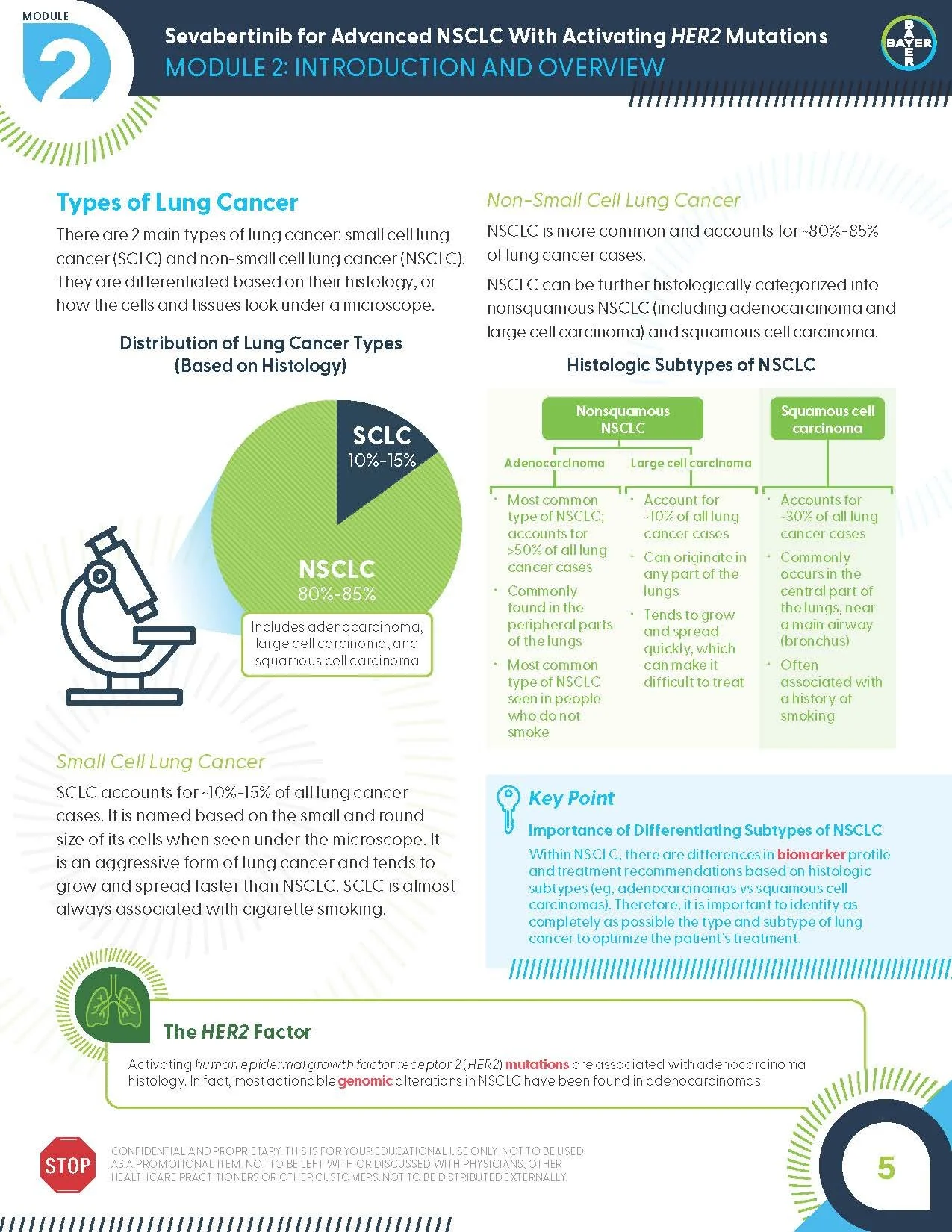 BAY_NSCLC_M2_Intro_Overview_v1.0_Page_05.jpg