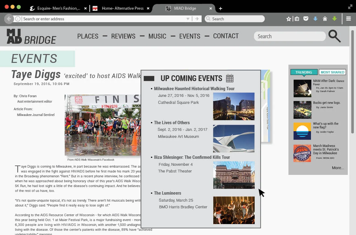 MIAD Bridge website38.jpg