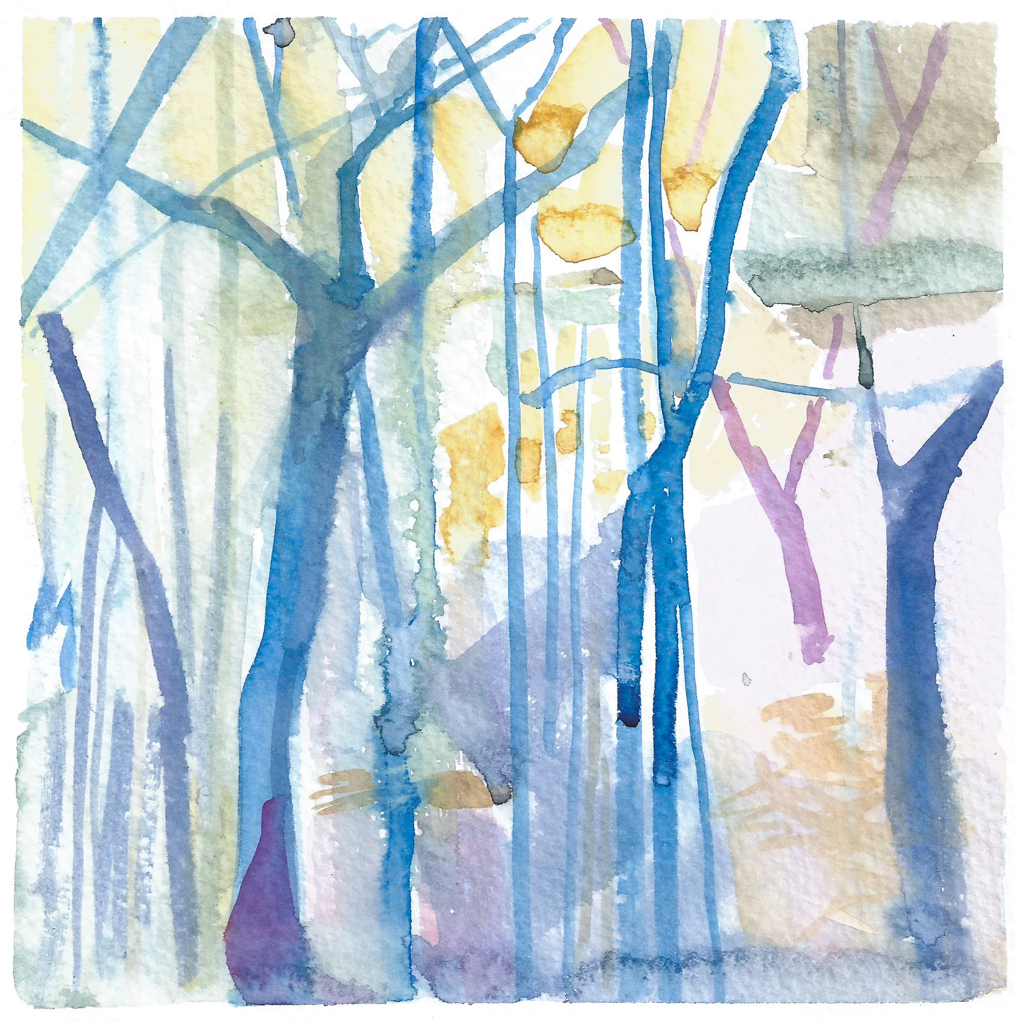 Tree Translation | 7" x 7" | Watercolor on Paper | 2018