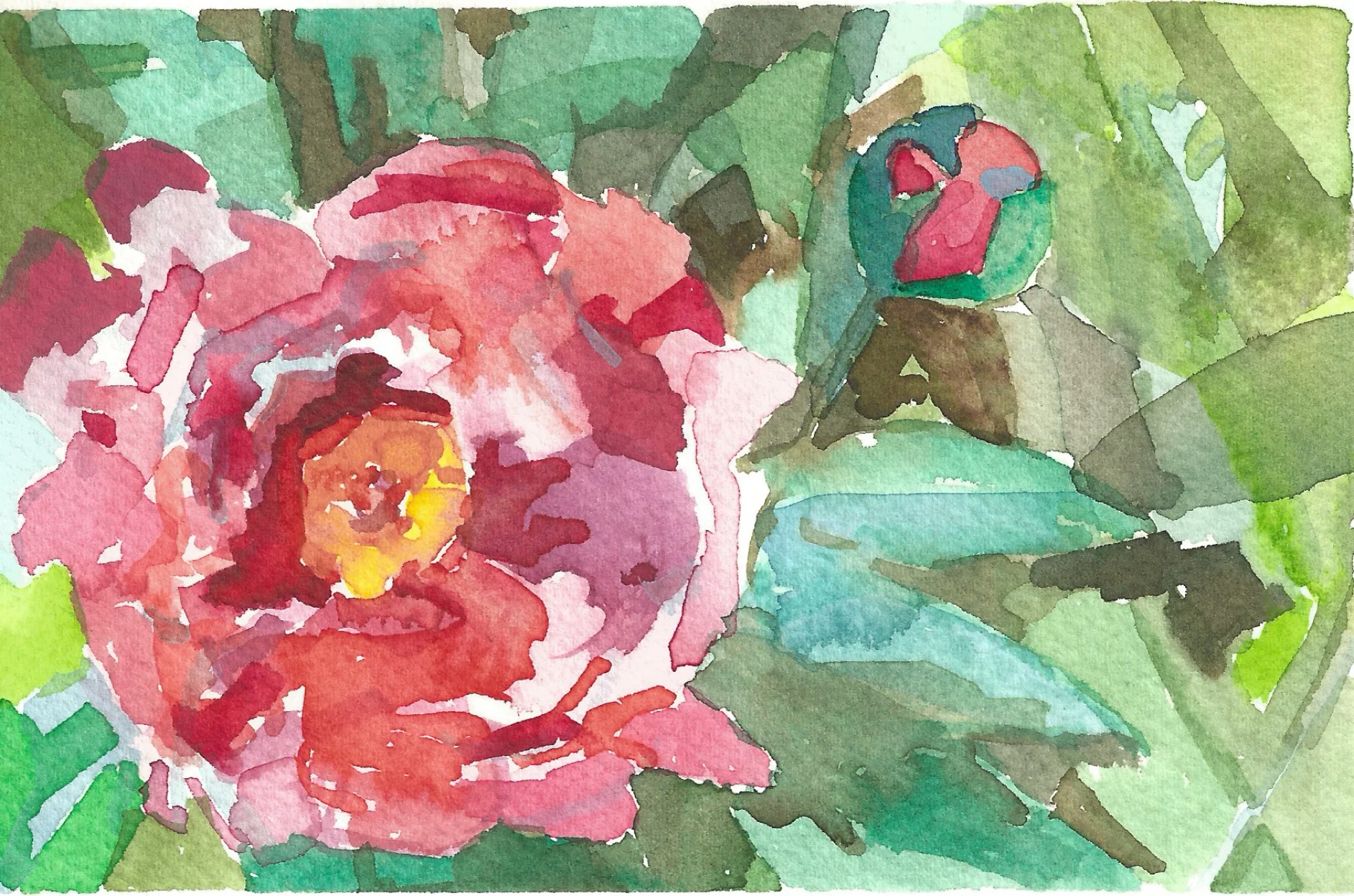 Peony| 4" x 6" | Watercolor on Paper | 2018
