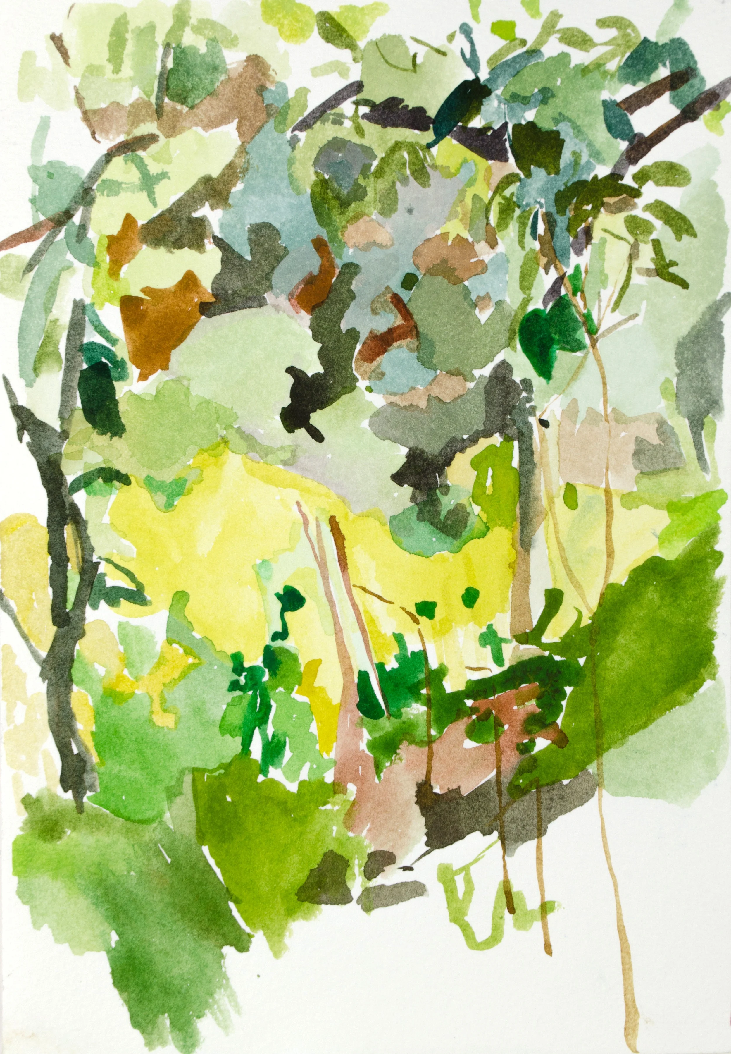 Vegetation Composed II | 10" x 7" | Watercolor on Paper | 2018