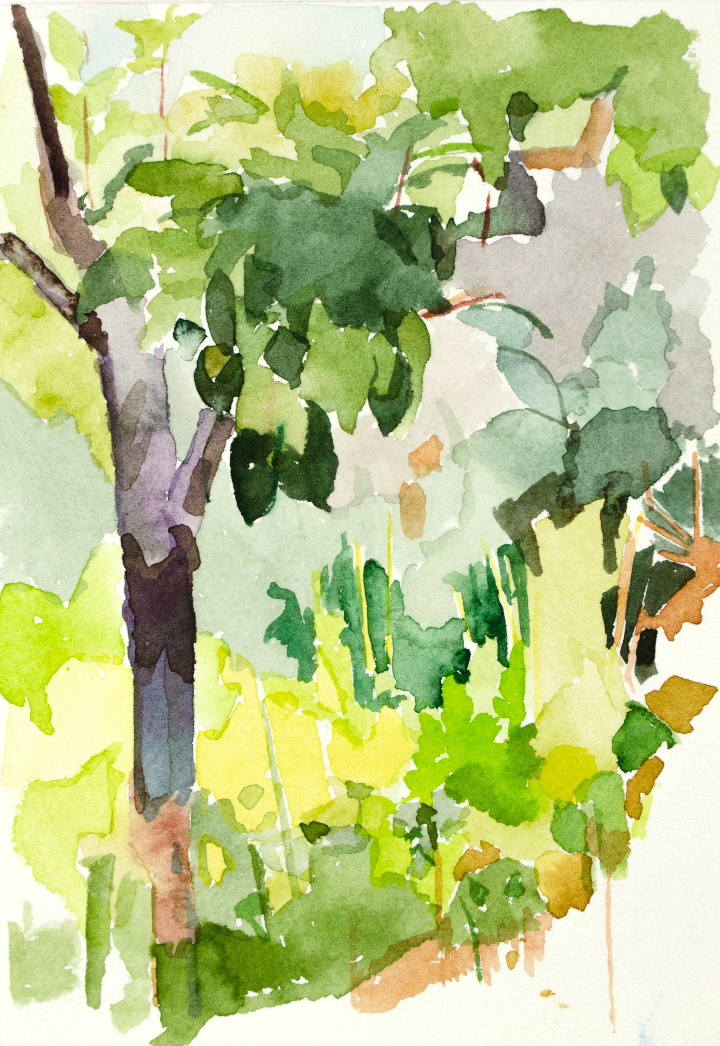 Vegetation Composed I, Monterosso al Mare | 7" x 5" | Watercolor on Paper | 2018