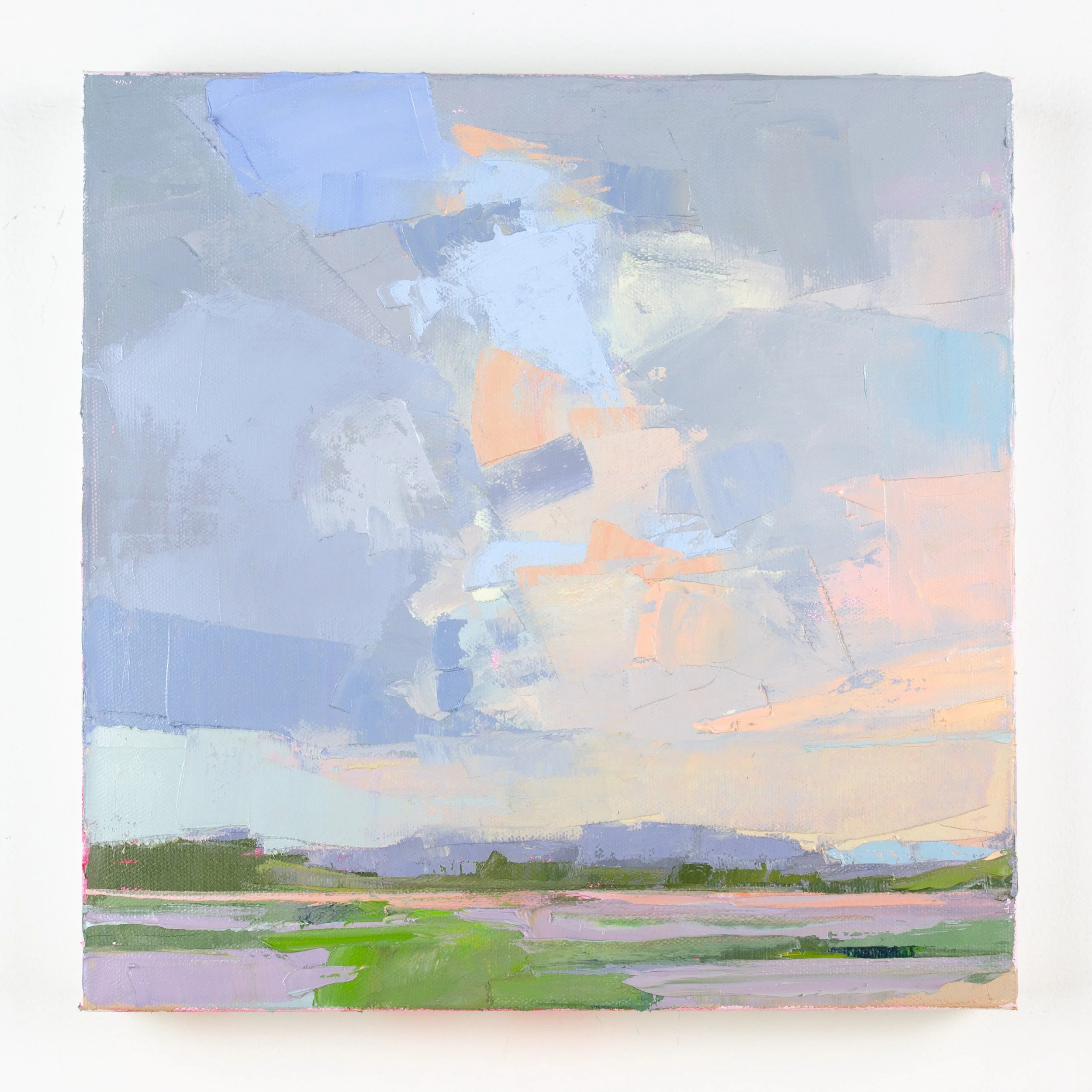 Custer, Plum Island, 2.29.23, 12%22 x 12%22.jpg