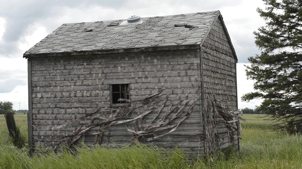 Installation view, digital prints on vellum, farm shed