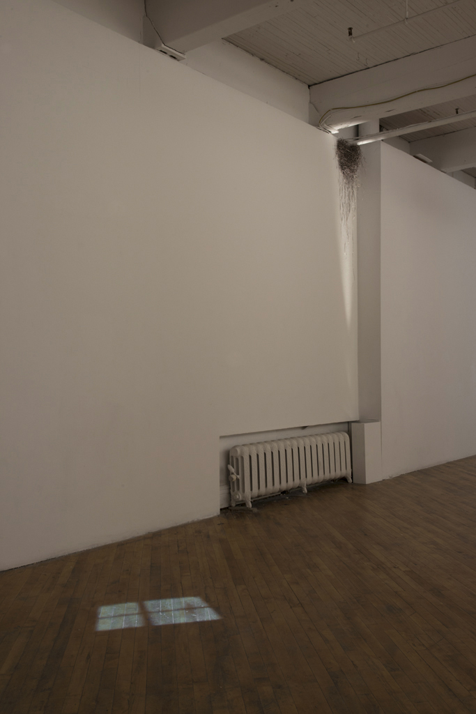 Installation View 6.jpg