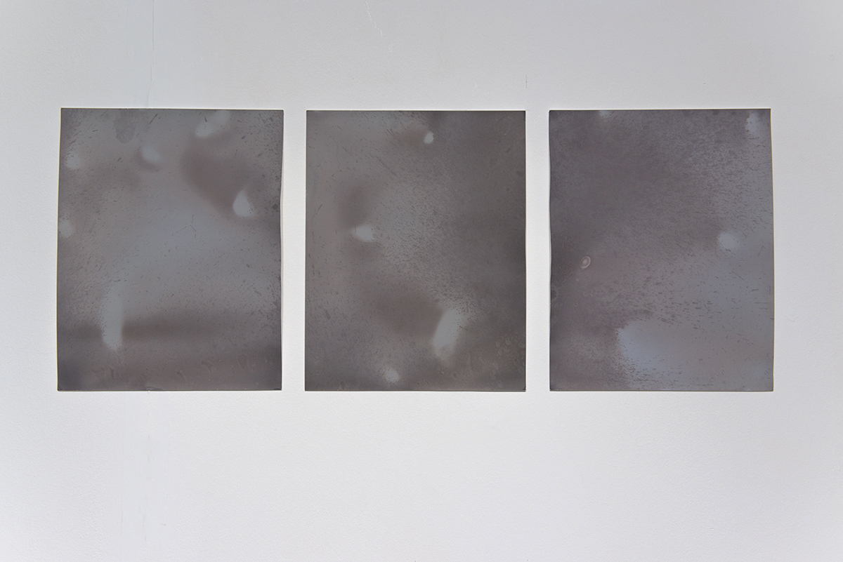 'Littoral Contact', lumen prints on photographic paper (photo: Paola Bernardelli)