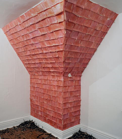Transience and Resistance, photo-transfers on rice paper, installation view