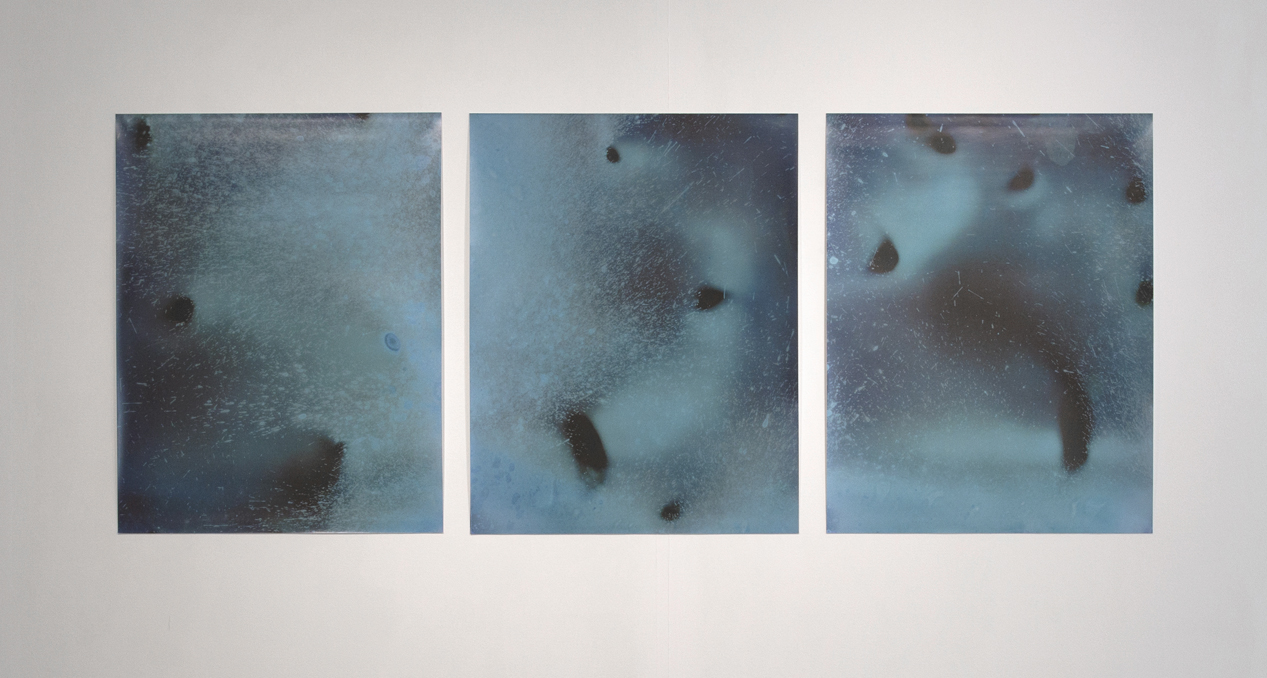 'Littoral Contact', lumen prints scanned and printed on inkjet paper (photo: Paola Bernardelli)