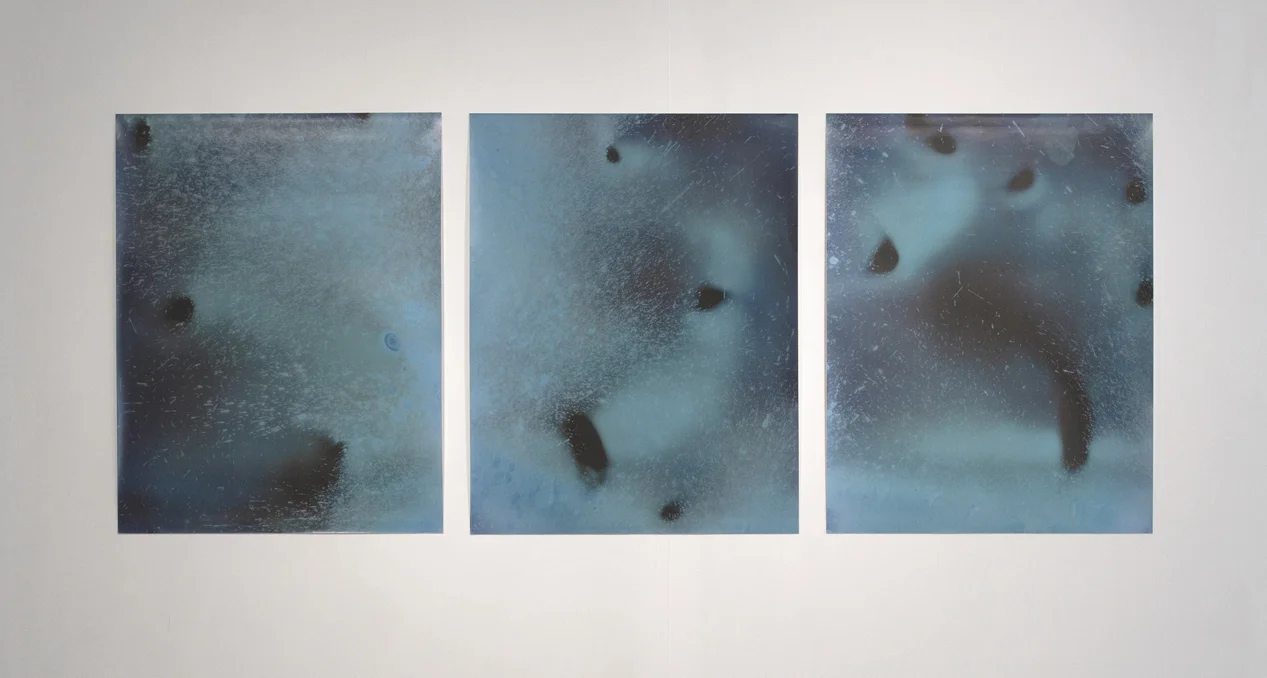 'Littoral Contact', digital prints (photo by Paola Bernardelli)