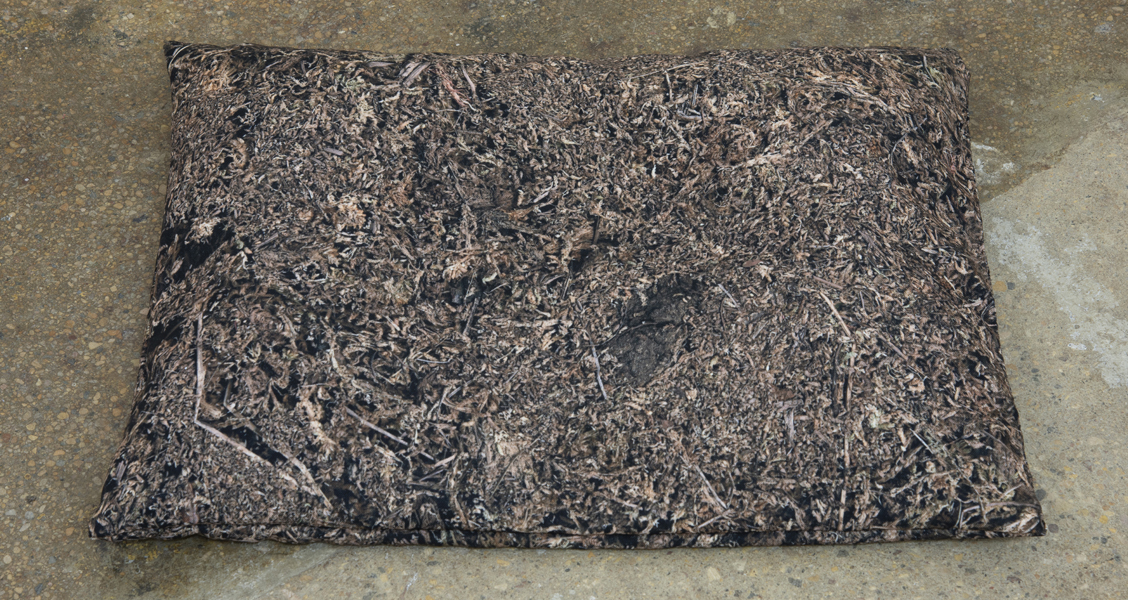 Digital photograph printed on polyester, filled with dried Sphagnum moss, 40cm x 50cm 