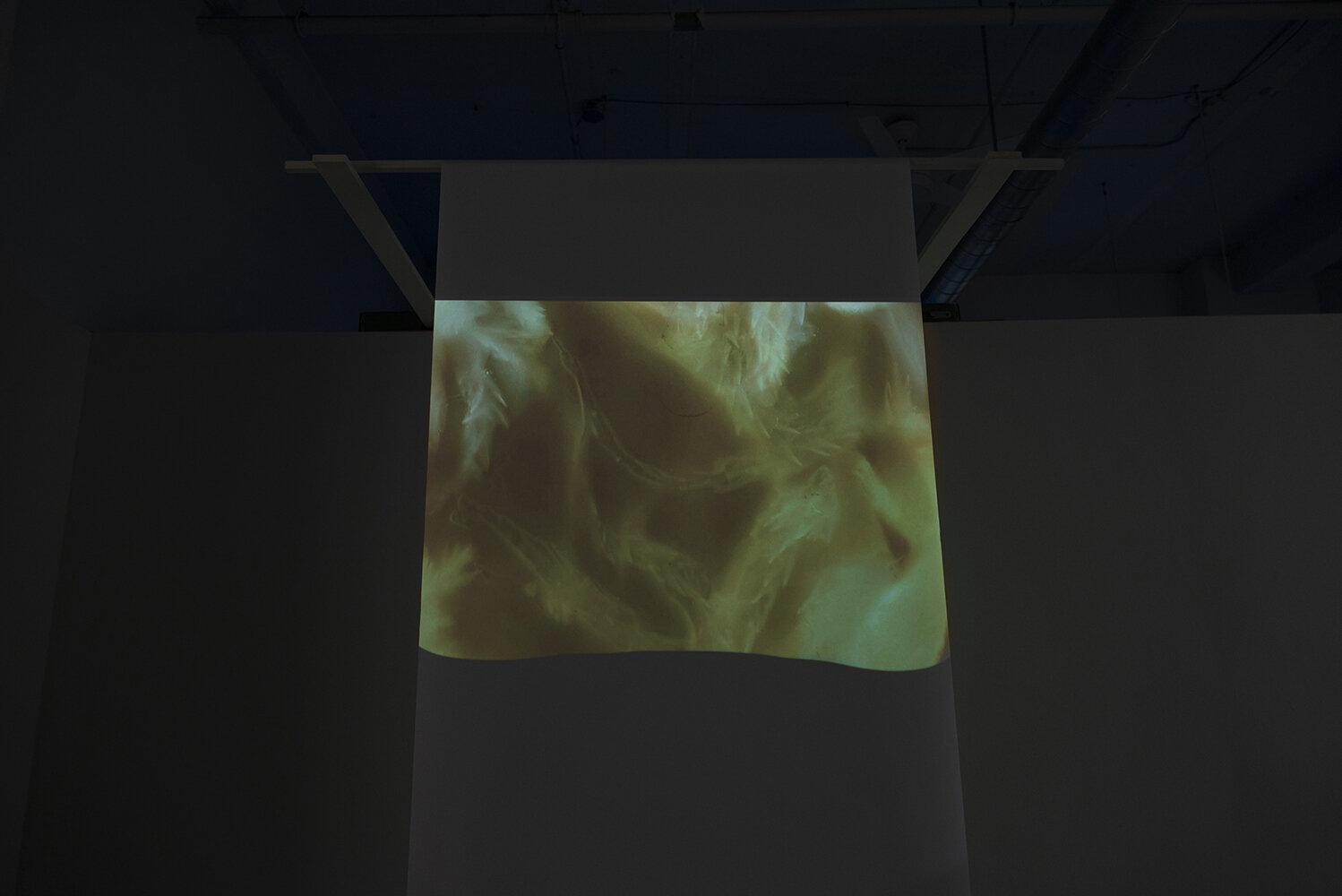 'Pressed for Time', 16mm transferred to HD video (looped), rear projected through vellum paper (photo: Sarah Fuller)