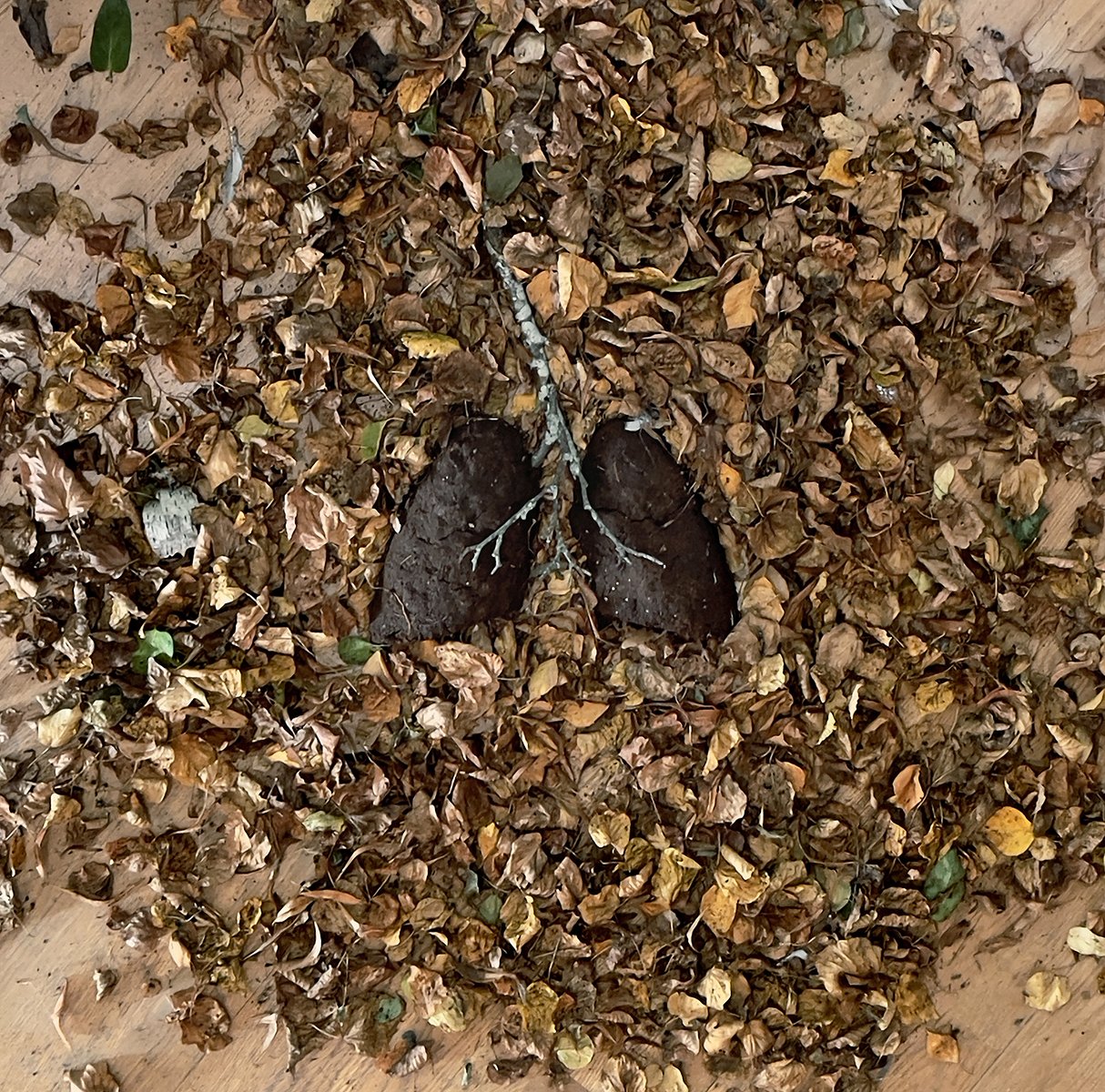 'Lungs of the Earth', partially decomposed peat moss, leaves and branches