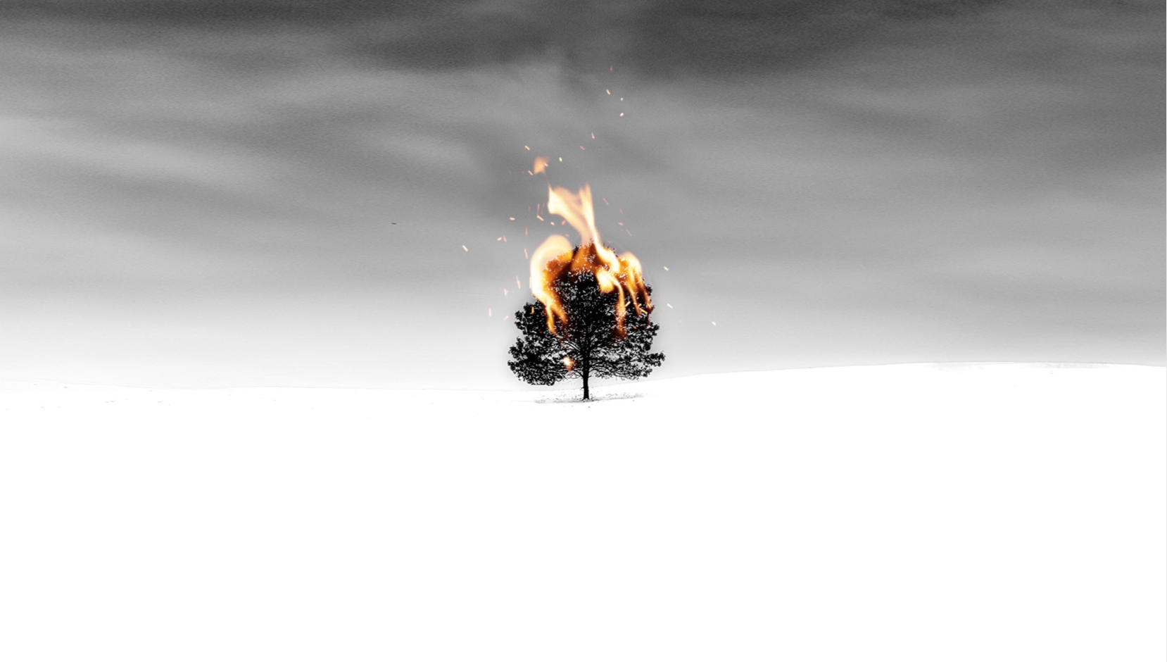 Screen Shot 2022-02-17 at 10.03.52 AM.png