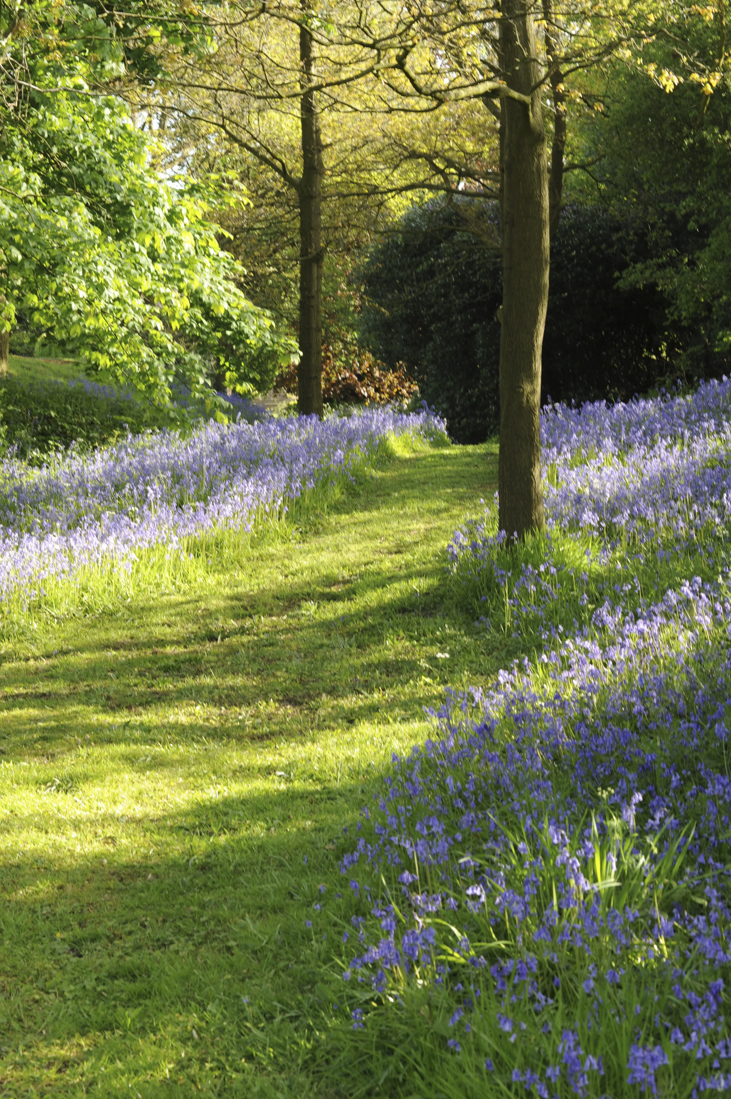 Unposted - Garden 3 copy.jpg