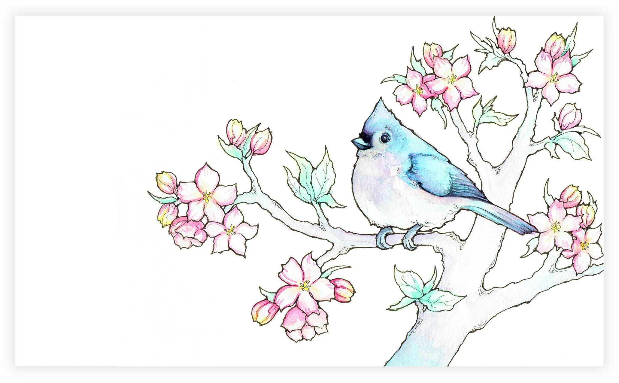 Rebecca-Kennedy-Watercolor-Bird.jpg