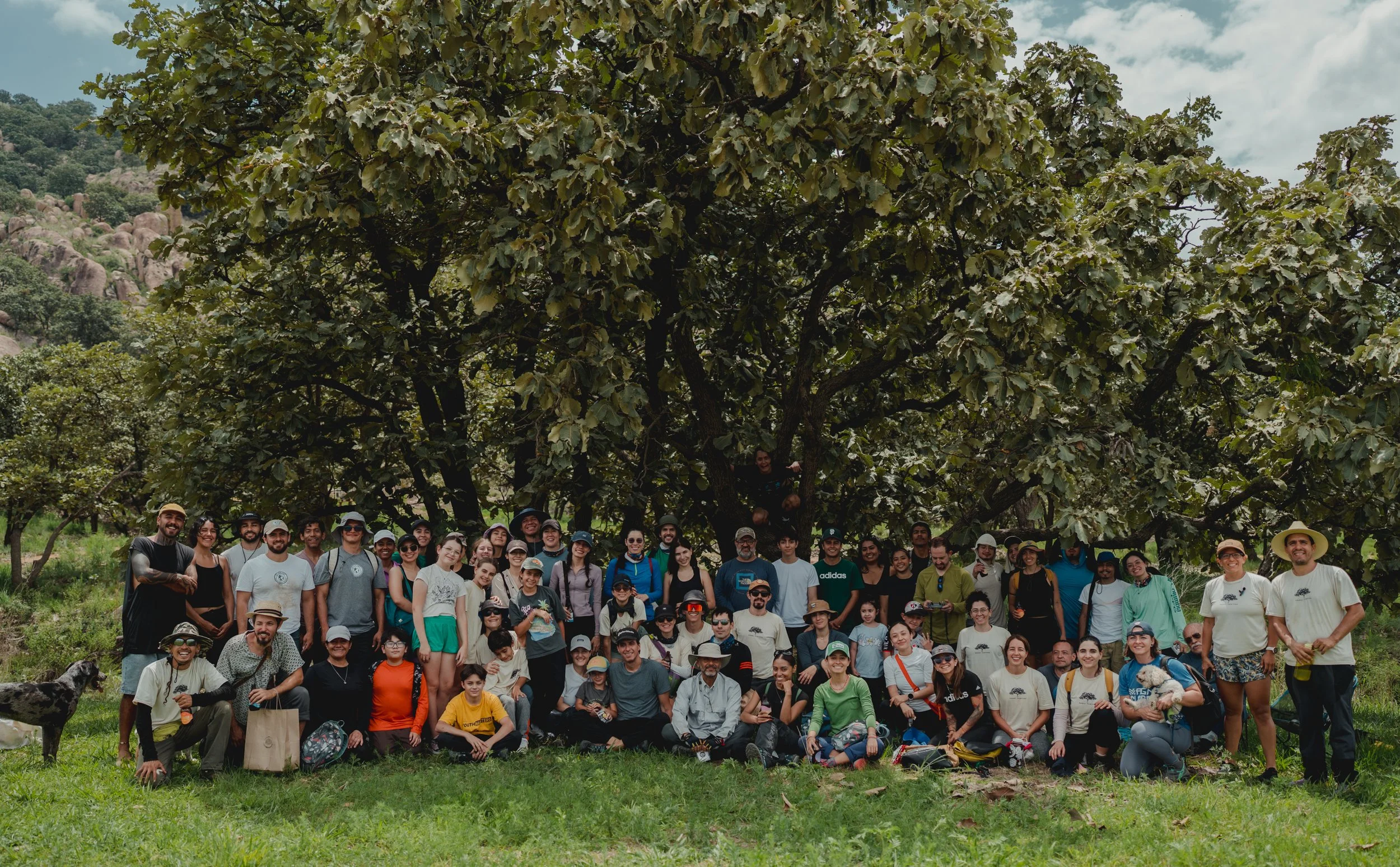 sergioplacido - reforestacion motion_-112.jpg