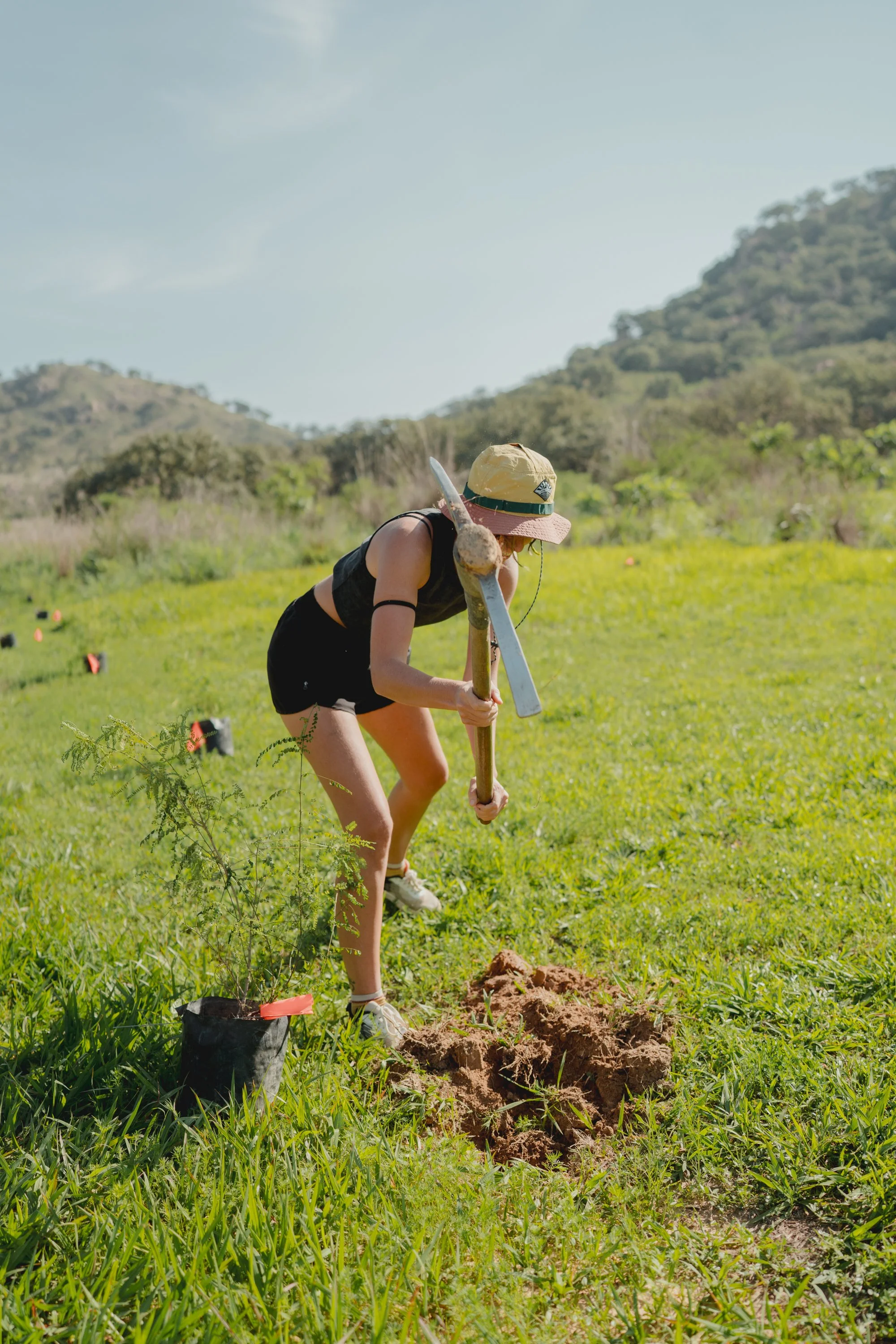 sergioplacido - reforestacion motion_-54.jpg