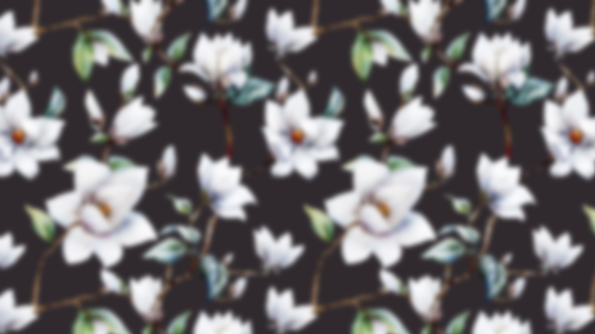 wallpaper blur magolia.jpg