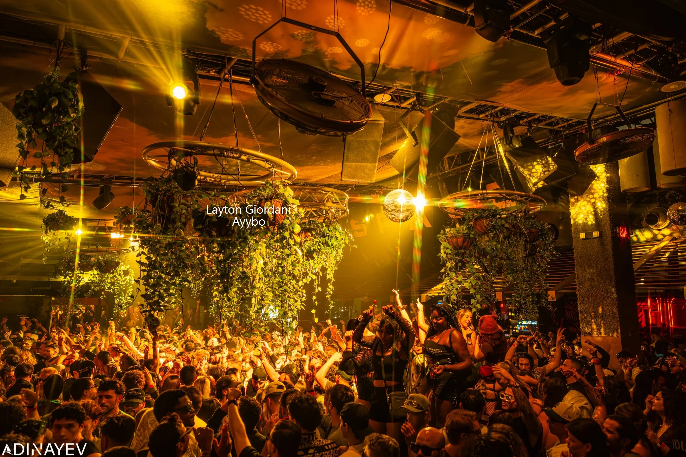 Layton Giordani + Ayybo 11-28-25