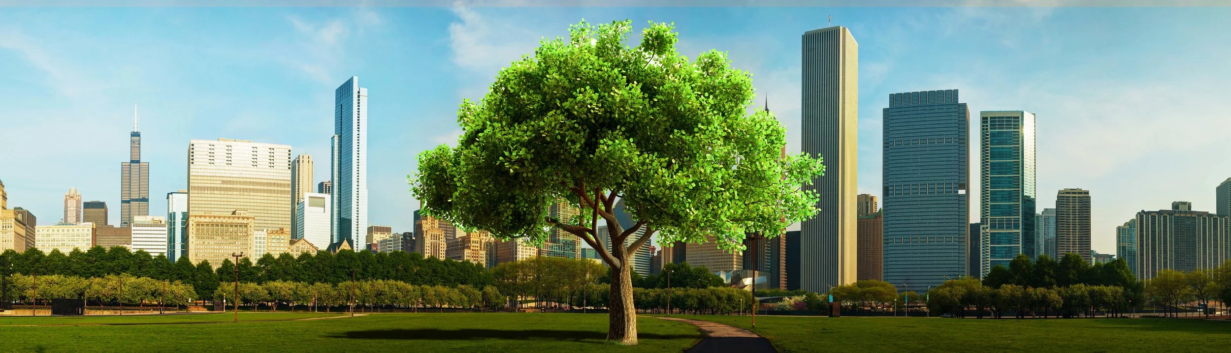 Website banner_small.jpg