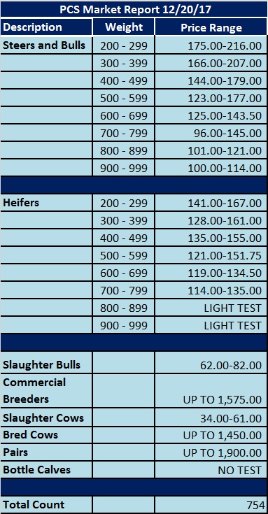 122017 REPORT.jpg