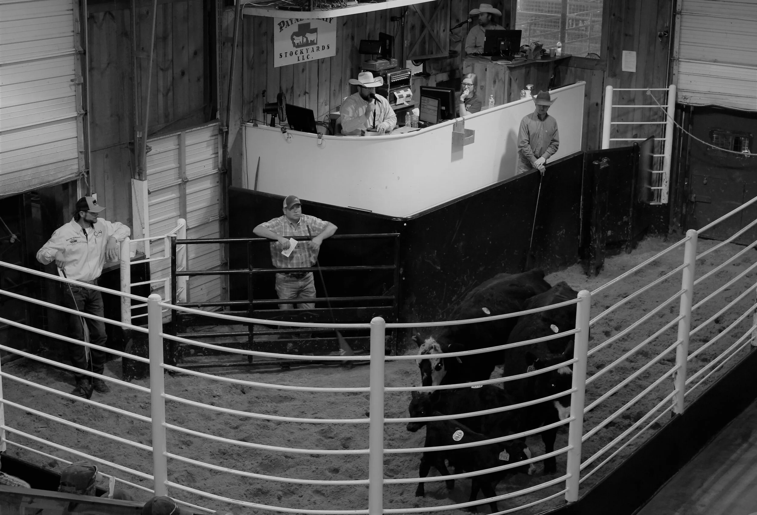 Stockyards 1 .jpg